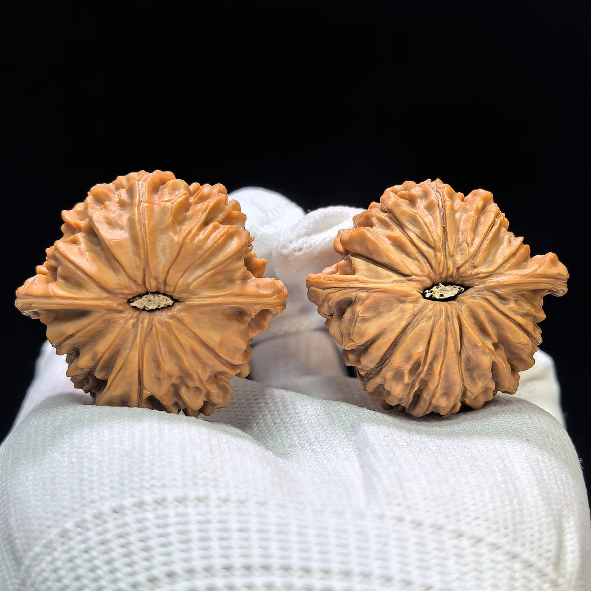 "Red Shell Millstone / Hong Ke Mo Pan" Heirloom Collection Wenwan Walnuts Pair | 39.0mm x 36.0mm | MP-1608 - ThePatinaProject
