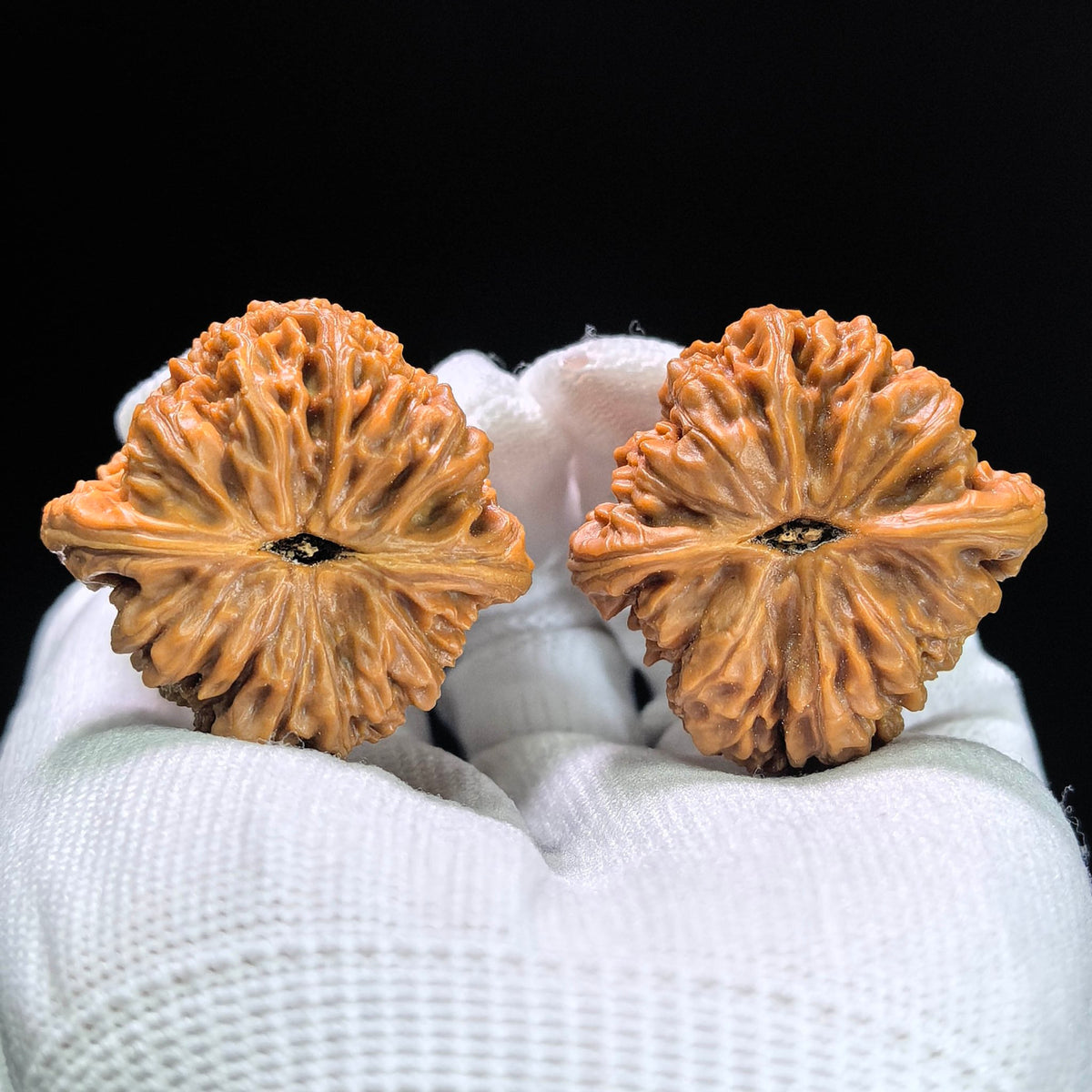 “Red-Shell Triangular Nanjiang Stone” Wenwan Walnut Pair | 37.0mm × 38.0mm | NJS-1410 - ThePatinaProject