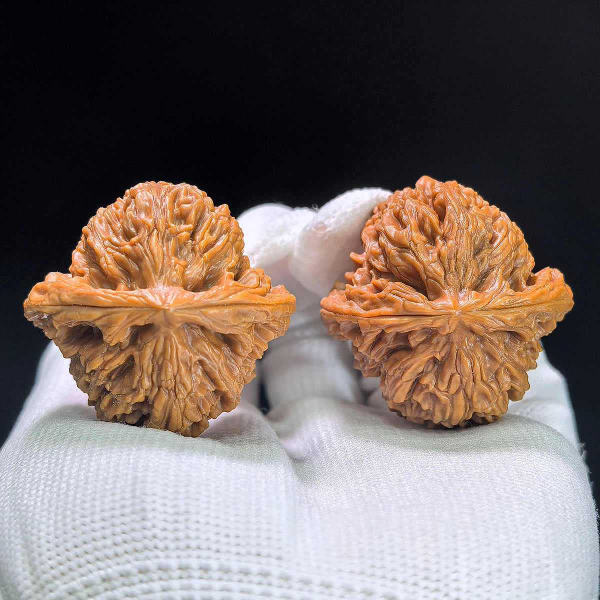 “Red-Shell Triangular Nanjiang Stone” Wenwan Walnut Pair | 37.0mm × 38.0mm | NJS-1410 - ThePatinaProject