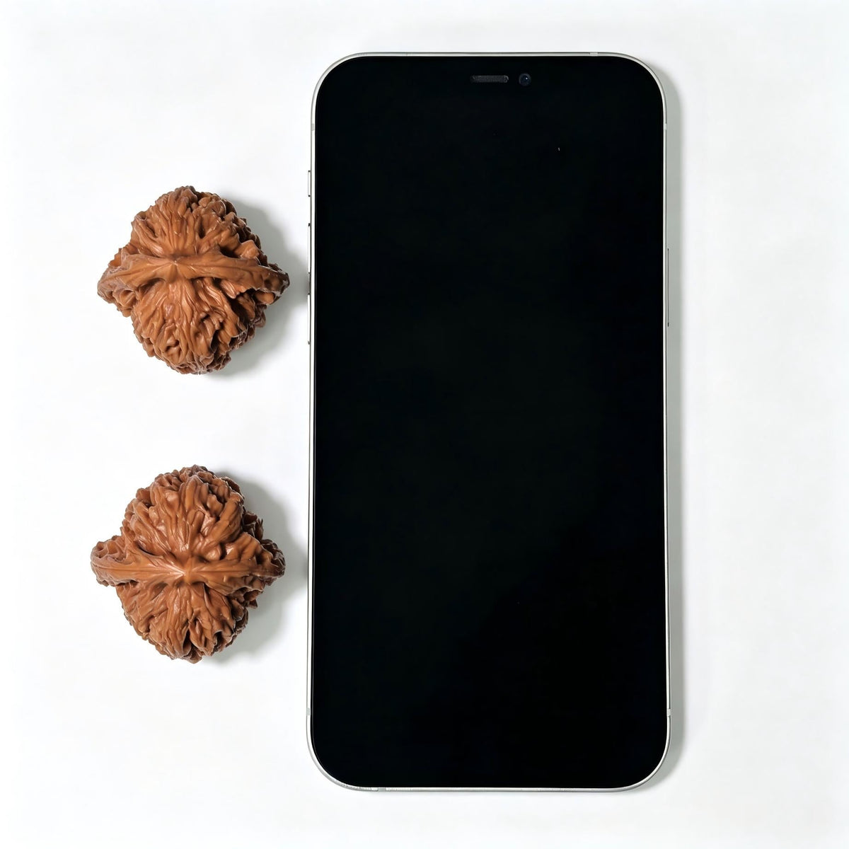 “Red-Shell Triangular Nanjiang Stone” Wenwan Walnut Pair | 37.0mm × 38.0mm | NJS-1410 - ThePatinaProject