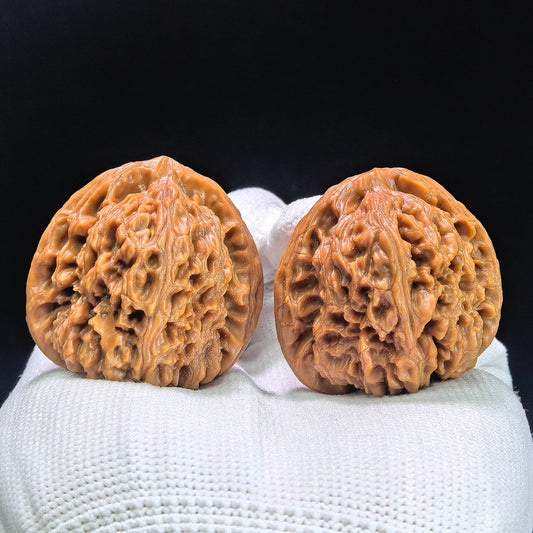 “Red-Shell Triangular Nanjiang Stone” Wenwan Walnut Pair | 37.0mm × 38.0mm | NJS-1410 - ThePatinaProject