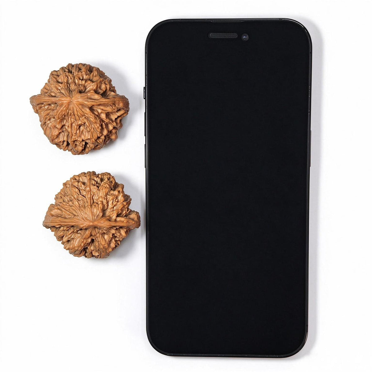 Red-Shell Wild Ox “Tian Can Jiao” Wenwan Walnuts Pair | Sculptural Natural Form | 41.0mm × 39.0mm | YN-C1E3E - ThePatinaProject