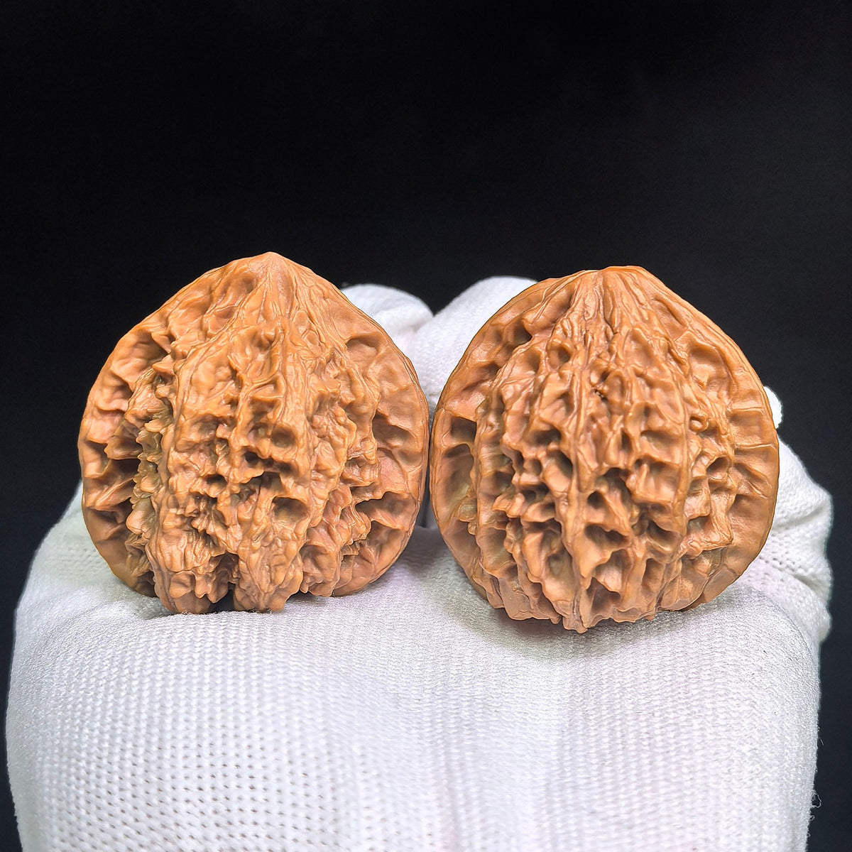 Red-Shell Wild Ox “Tian Can Jiao” Wenwan Walnuts Pair | Sculptural Natural Form | 41.0mm × 39.0mm | YN-C1E3E - ThePatinaProject