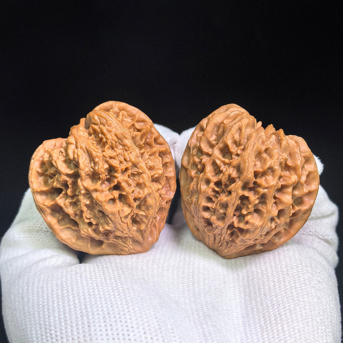 Red-Shell Wild Ox “Tian Can Jiao” Wenwan Walnuts Pair | Sculptural Natural Form | 41.0mm × 39.0mm | YN-C1E3E - ThePatinaProject