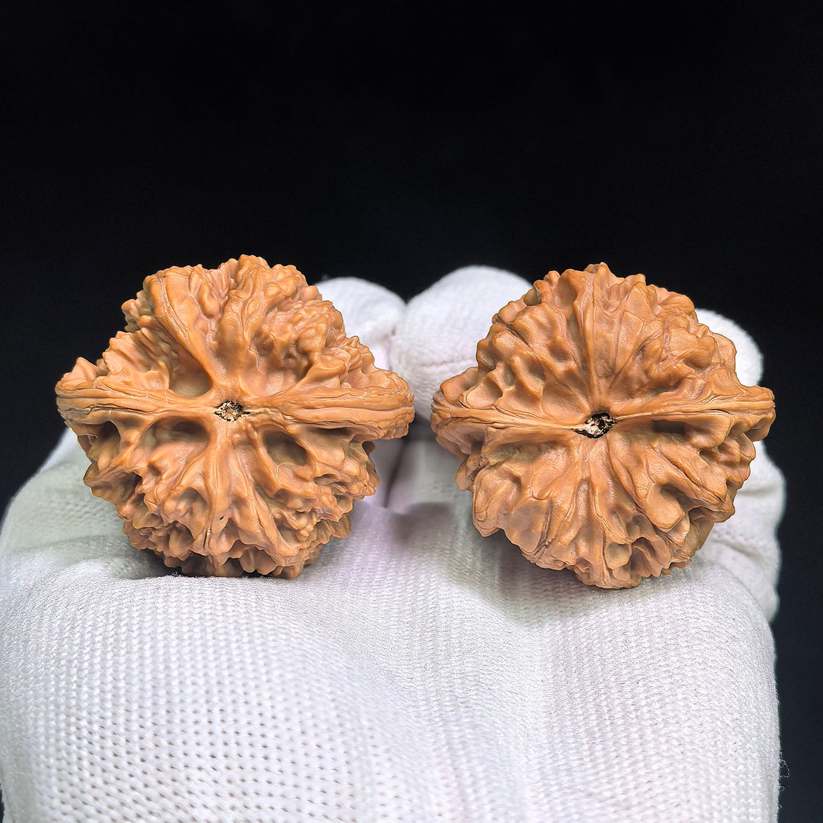 Red-Shell Wild Ox “Tian Can Jiao” Wenwan Walnuts Pair | Sculptural Natural Form | 41.0mm × 39.0mm | YN-C1E3E - ThePatinaProject