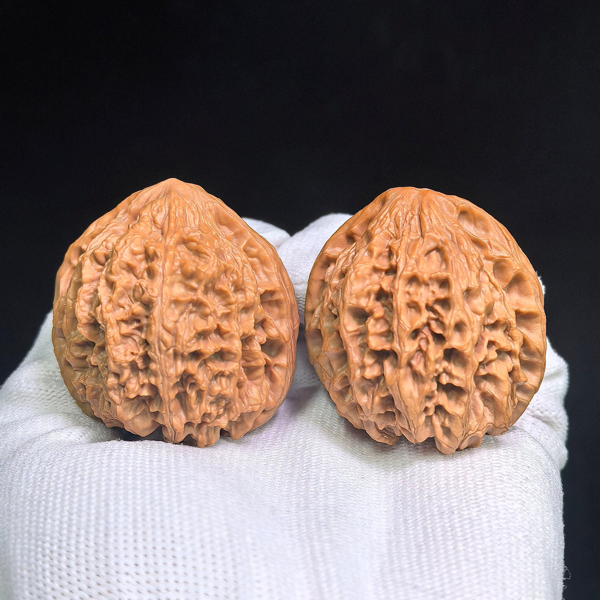Red-Shell Wild Ox “Tian Can Jiao” Wenwan Walnuts Pair | Sculptural Natural Form | 41.0mm × 39.0mm | YN-C1E3E - ThePatinaProject