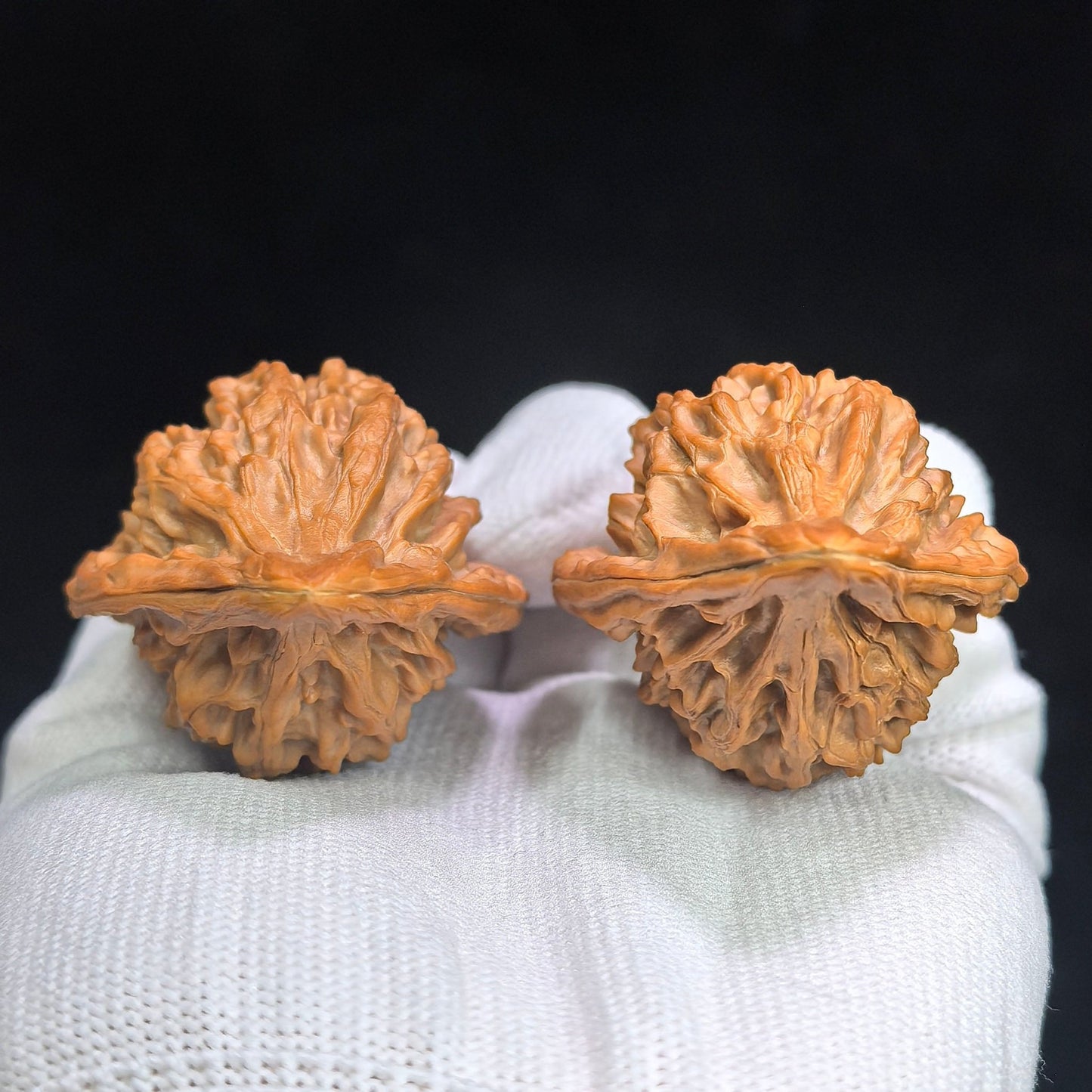 "Red Tasseled Spear" Hongyingqiang HJQ-CWA1E Wenwan Walnuts Pair | 41.0mm x 38.0mm | HJQ-CWA1E - ThePatinaProject