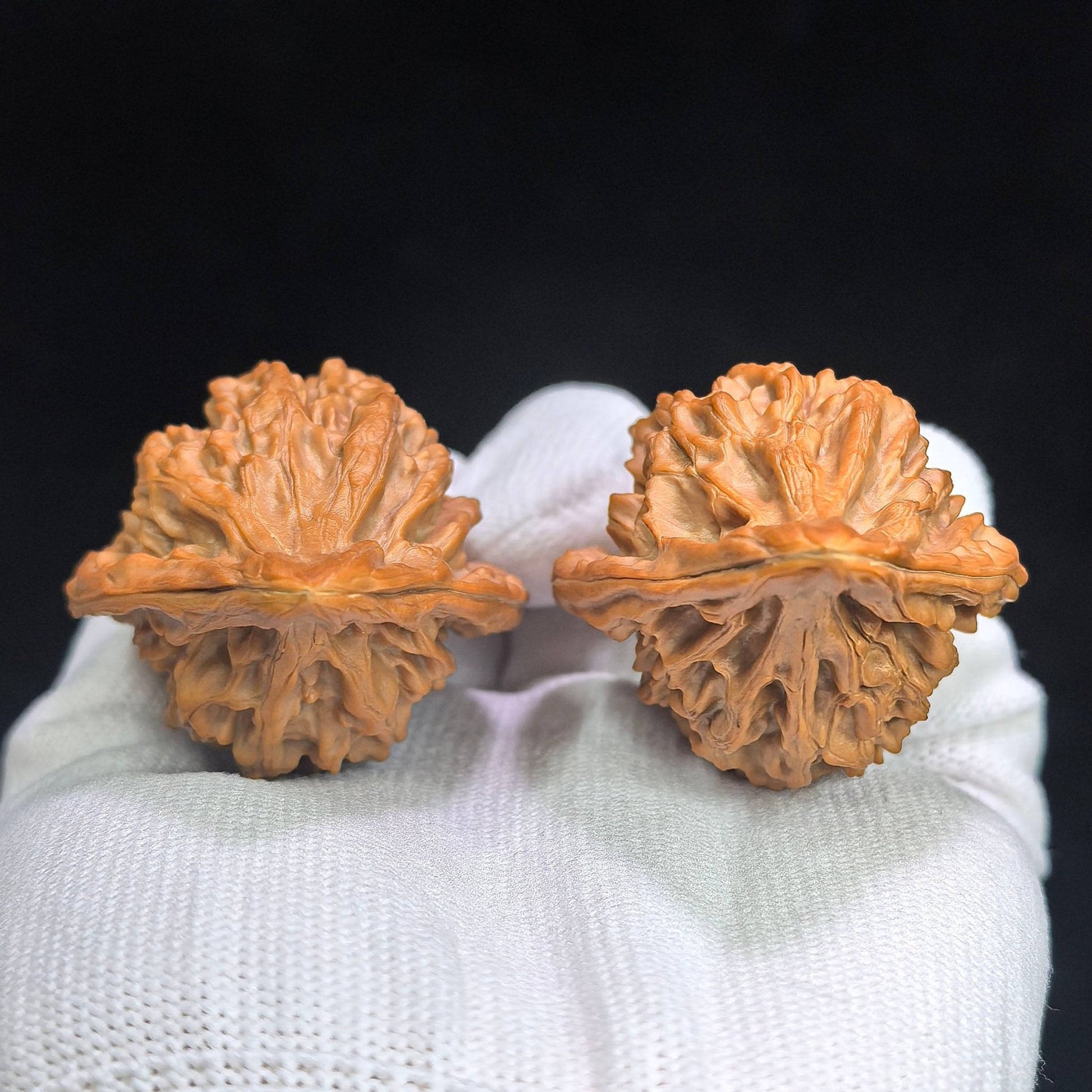 "Red Tasseled Spear" Hongyingqiang HJQ-CWA1E Wenwan Walnuts Pair | 41.0mm x 38.0mm | HJQ-CWA1E - ThePatinaProject