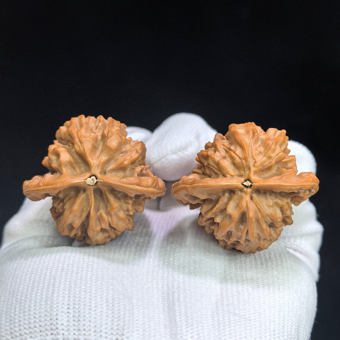 "Red Tasseled Spear" Hongyingqiang HJQ-CWA1E Wenwan Walnuts Pair | 41.0mm x 38.0mm | HJQ-CWA1E - ThePatinaProject