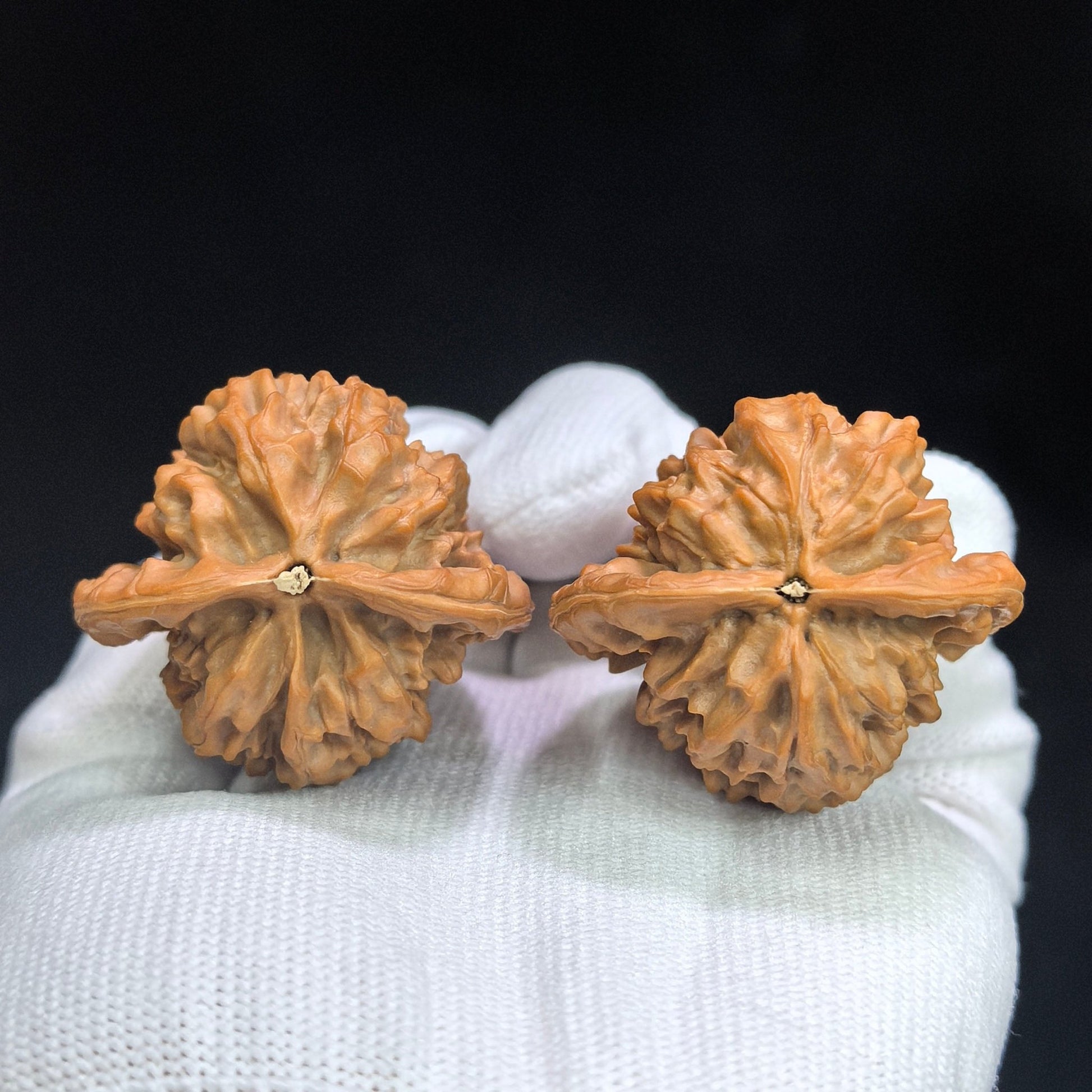 "Red Tasseled Spear" Hongyingqiang HJQ-CWA1E Wenwan Walnuts Pair | 41.0mm x 38.0mm | HJQ-CWA1E - ThePatinaProject