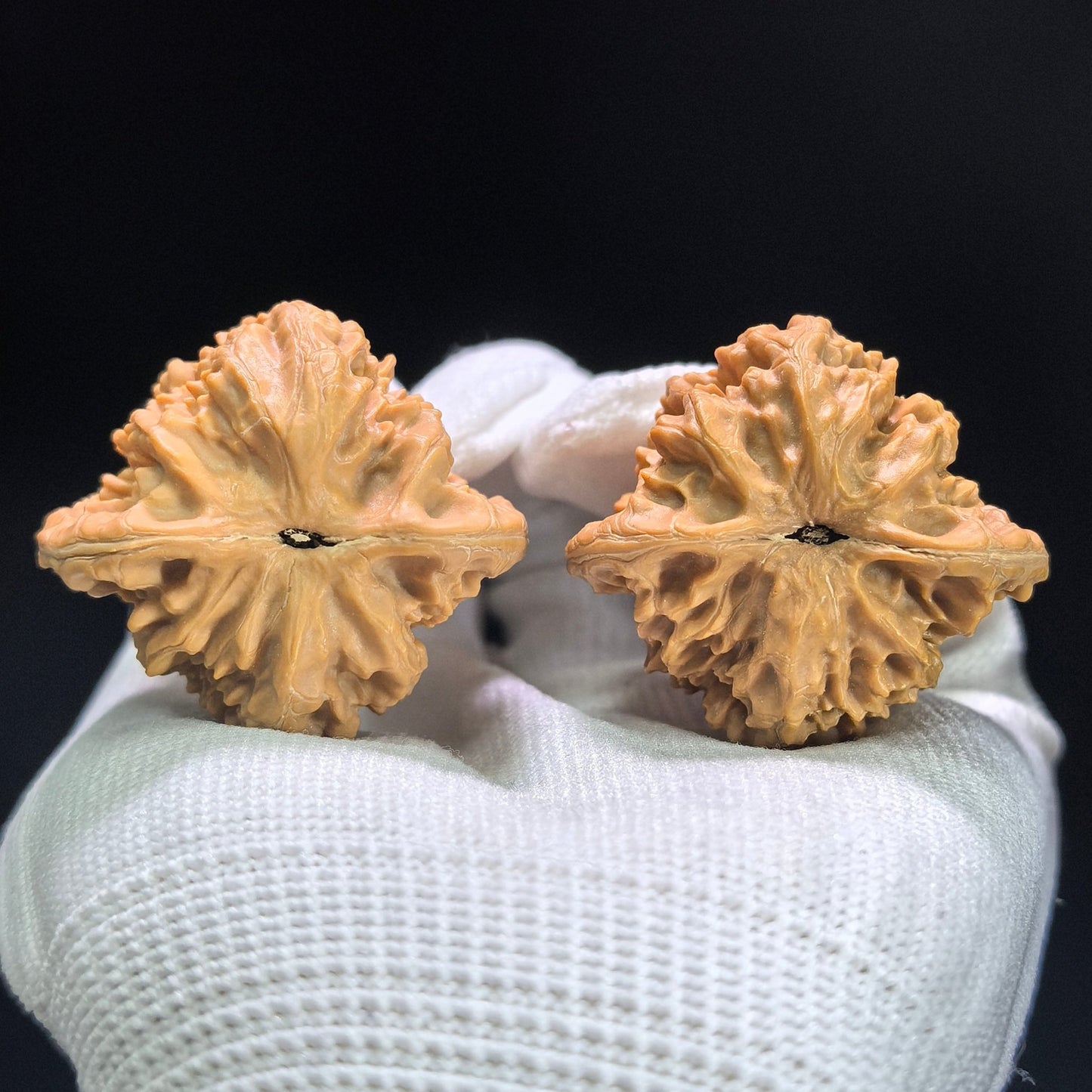 "Rosy Cloud Ridge" Xiayunling Classic Heritage Low-Profile Wenwan Walnuts Pair | 40.0mm x 37.0mm | XYL-1403 - ThePatinaProject