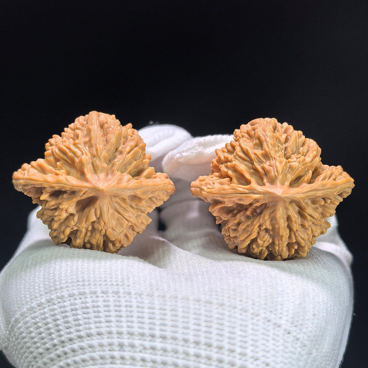 "Rosy Cloud Ridge" Xiayunling Classic Heritage Low-Profile Wenwan Walnuts Pair | 40.0mm x 37.0mm | XYL-1403 - ThePatinaProject