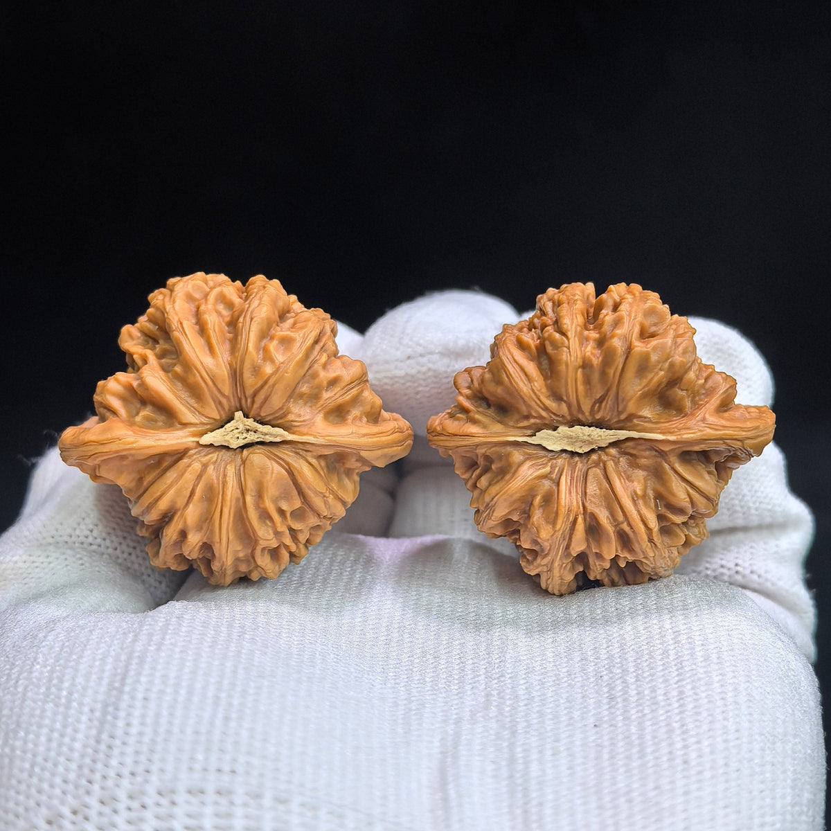 “Ruby” Hongbaoshi Deep-Textured Wenwan Walnut Pair | 39.0mm × 35.0mm | HBS-17D6 - ThePatinaProject