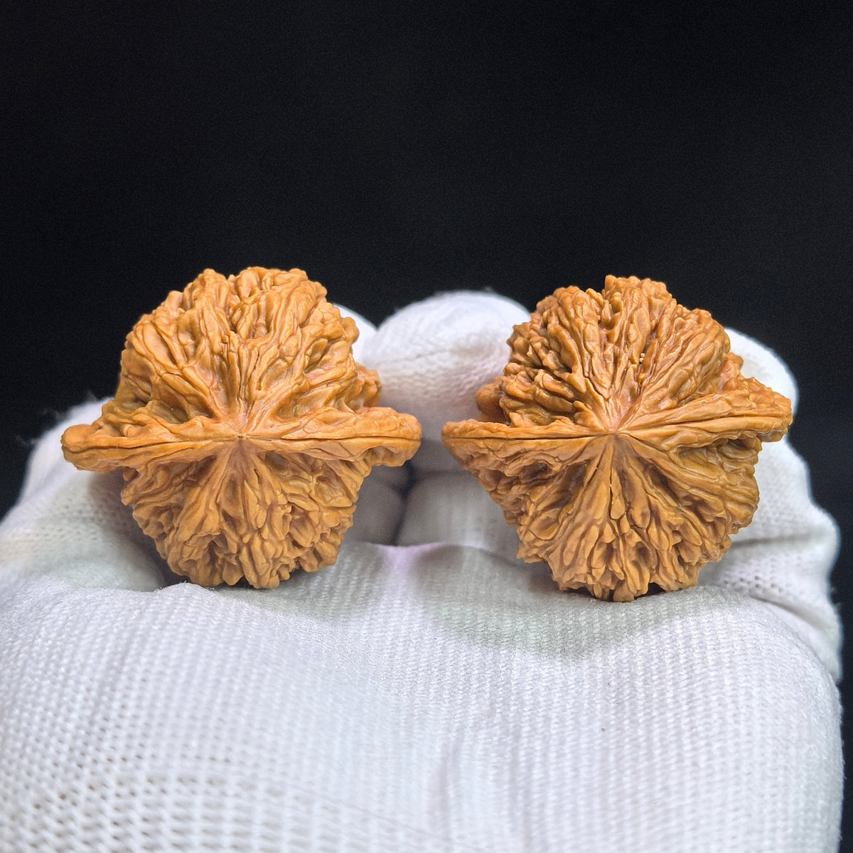 “Ruby” Hongbaoshi Deep-Textured Wenwan Walnut Pair | 39.0mm × 35.0mm | HBS-17D6 - ThePatinaProject