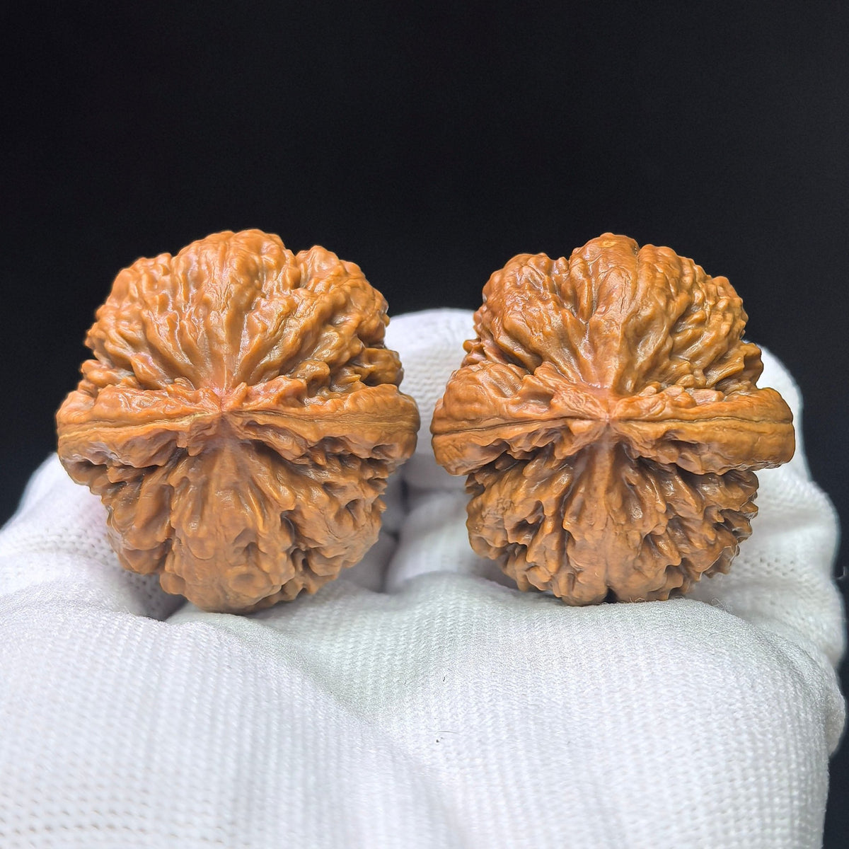 Rugged High-Ridged “T-Rex” Wenwan Walnut Pair — 38.0mm x 40.0mm | BWL-1101 - ThePatinaProject