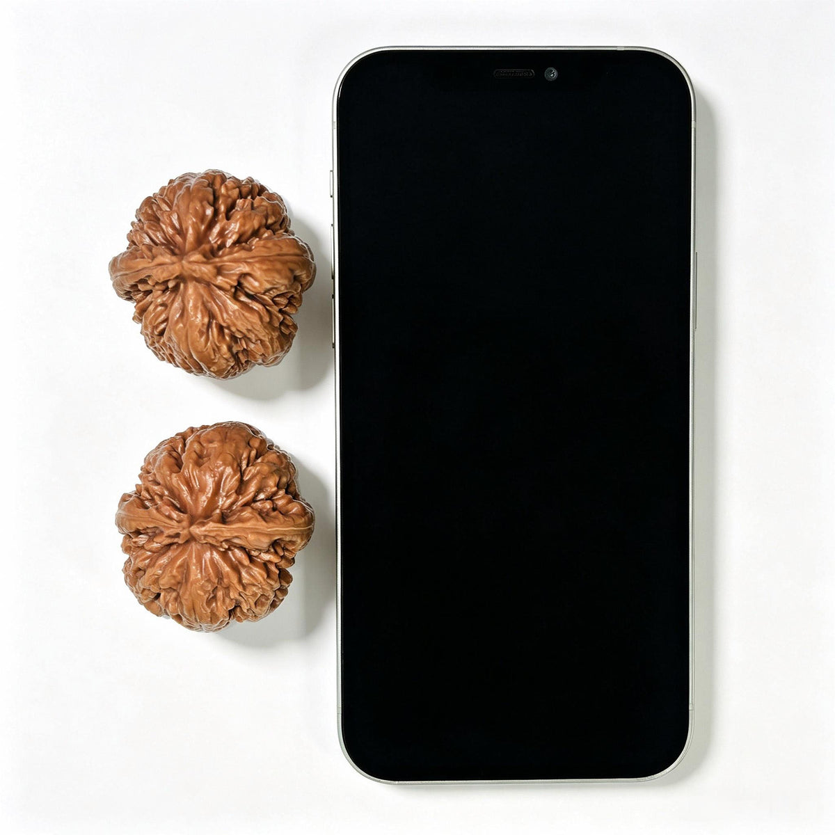 Rugged High-Ridged “T-Rex” Wenwan Walnut Pair — 38.0mm x 40.0mm | BWL-1101 - ThePatinaProject