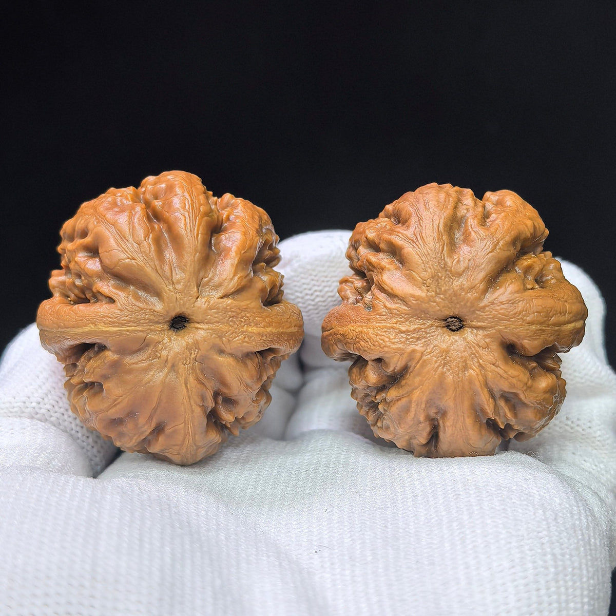 Rugged High-Ridged “T-Rex” Wenwan Walnut Pair — 38.0mm x 40.0mm | BWL-1101 - ThePatinaProject