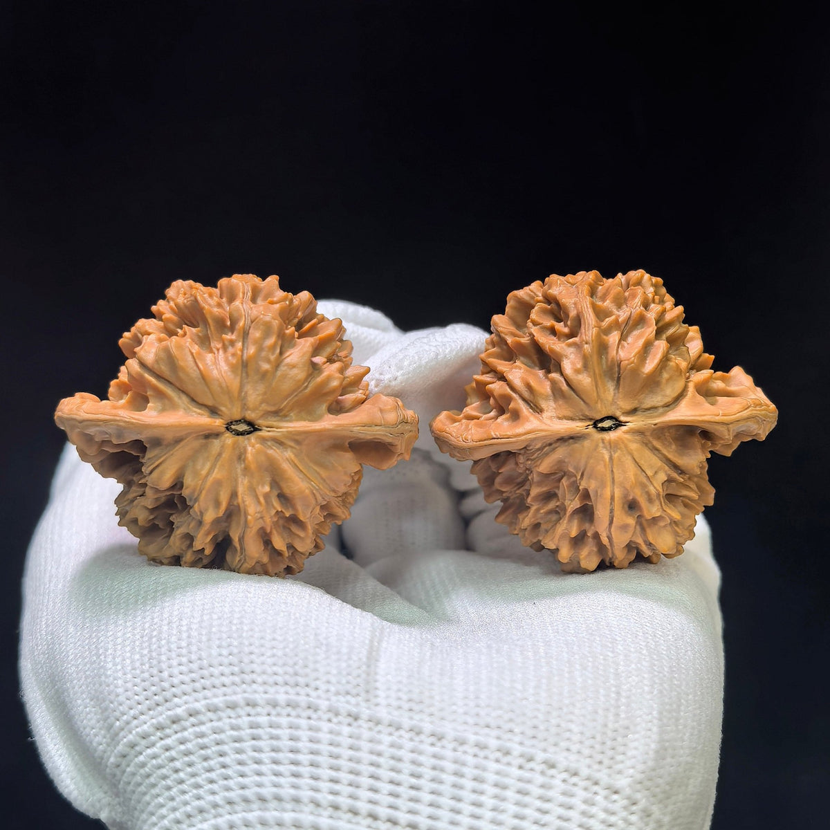 Shaanxi Guanmao Wenwan Walnut Pair | Broad-Shouldered Official Hat Form | 45.0mm × 39.0mm | SXGM-1601 - ThePatinaProject