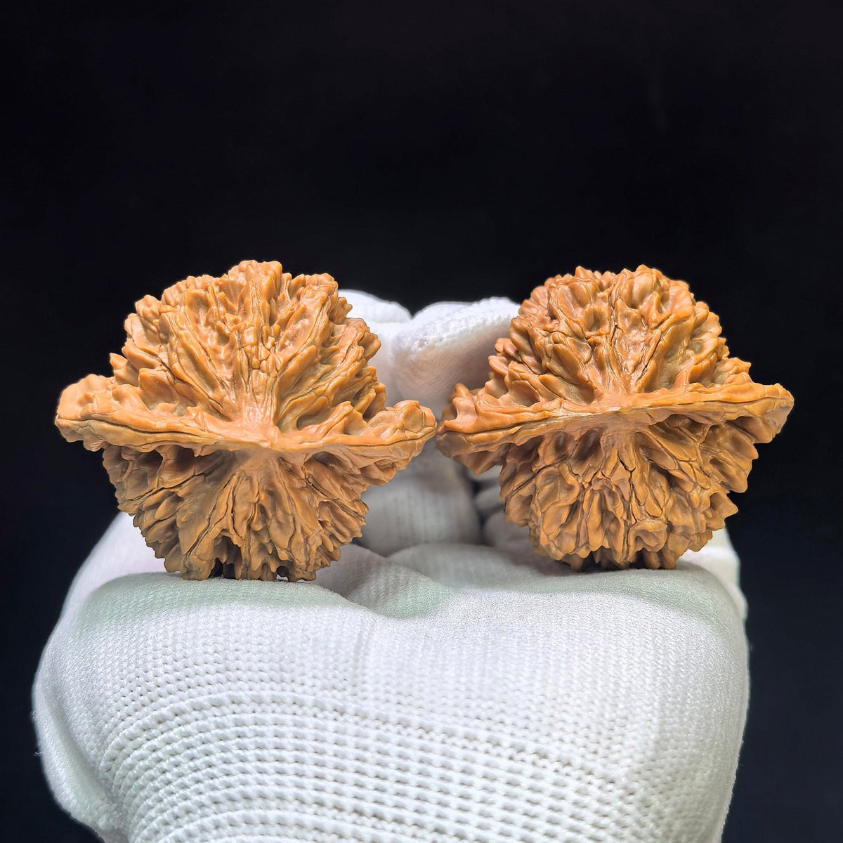 Shaanxi Guanmao Wenwan Walnut Pair | Broad-Shouldered Official Hat Form | 45.0mm × 39.0mm | SXGM-1601 - ThePatinaProject