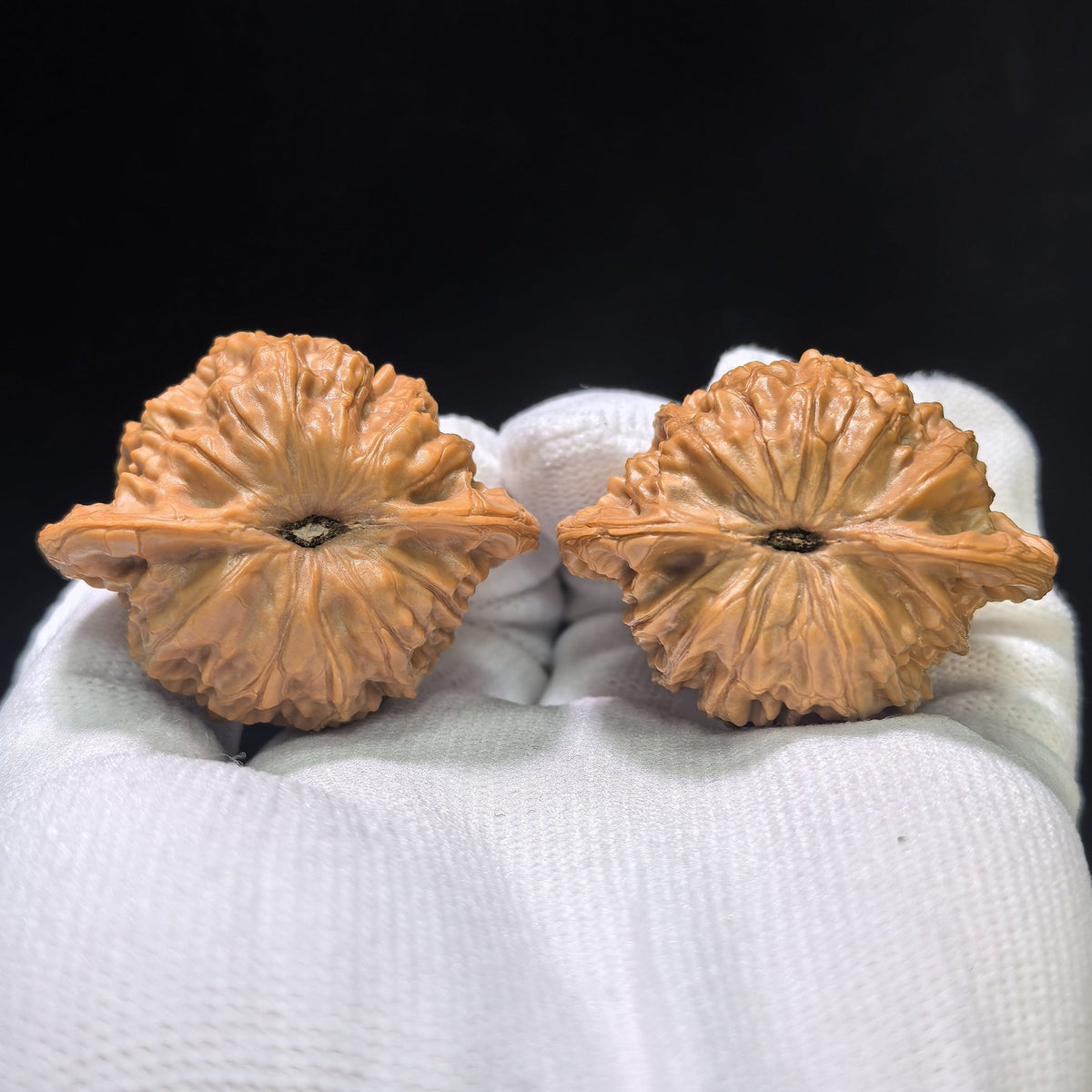 "Shaanxi Official Hat" Shaanxi Guanmao Wenwan Walnuts Pair | 43.0mm x 35.0mm | SXGM-01SY - ThePatinaProject