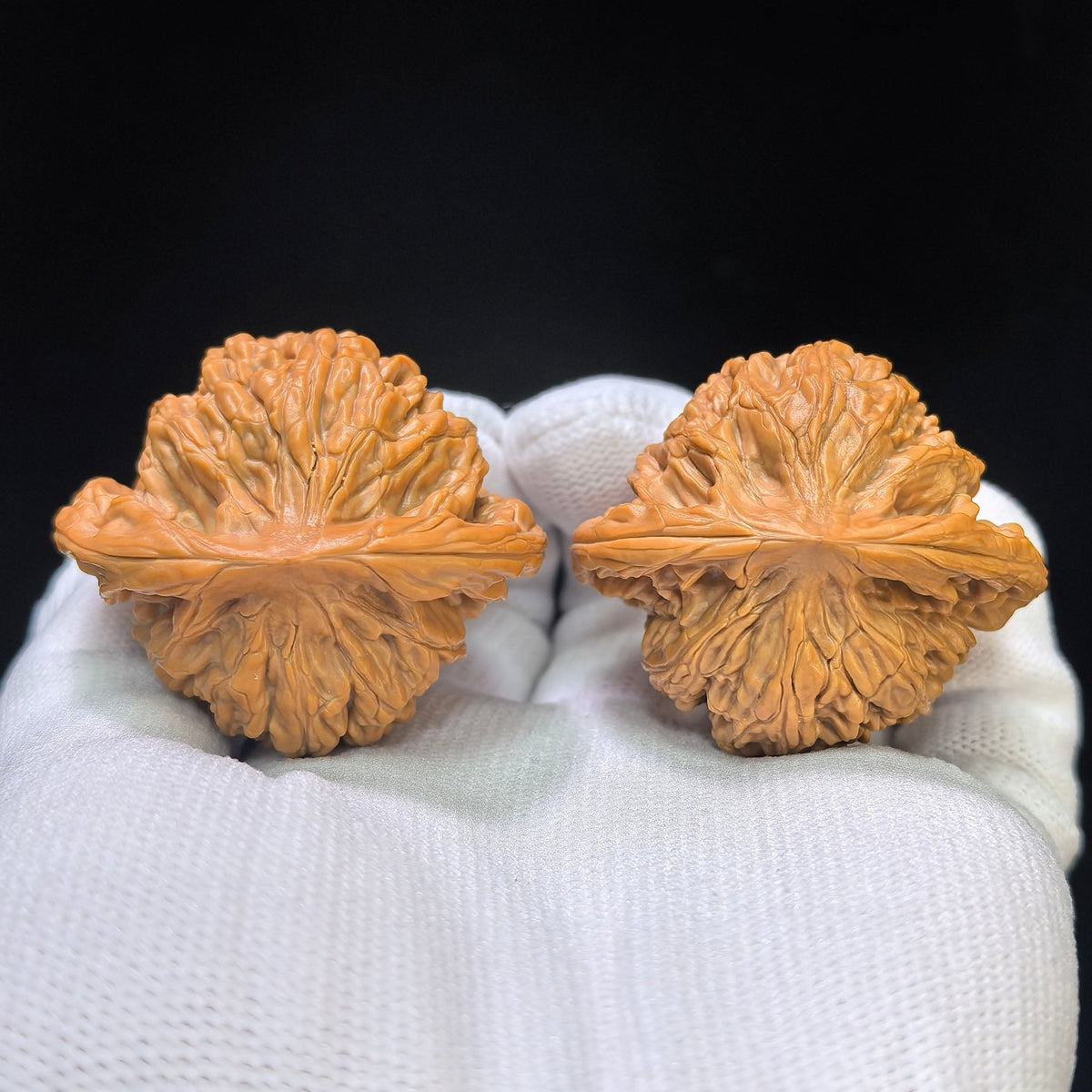 "Shuiquangou Prince Hat" Shuiquangou Gongzimao Wenwan Walnuts Pair | 42.0mm x 37.0mm | SQGGZM-01SY - ThePatinaProject