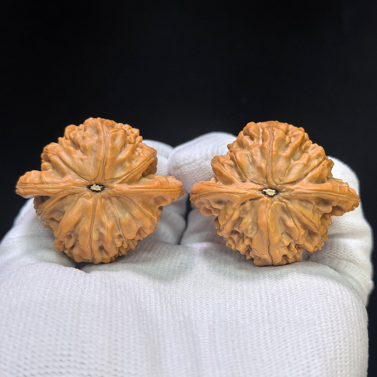 "Shuiquangou Prince Hat" Shuiquangou Gongzimao Wenwan Walnuts Pair | 42.0mm x 37.0mm | SQGGZM-01SY - ThePatinaProject