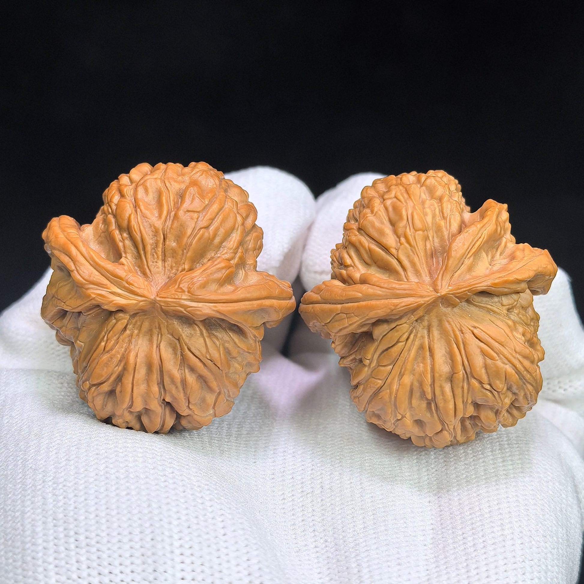 "Shunfenger White Lionhead" Baishizi Shunfenger BSJSFE-1301E Wenwan Walnuts Collector Pair | 38.0mm x 41.0mm | Stock ID: BSJSFE-1301E - ThePatinaProject