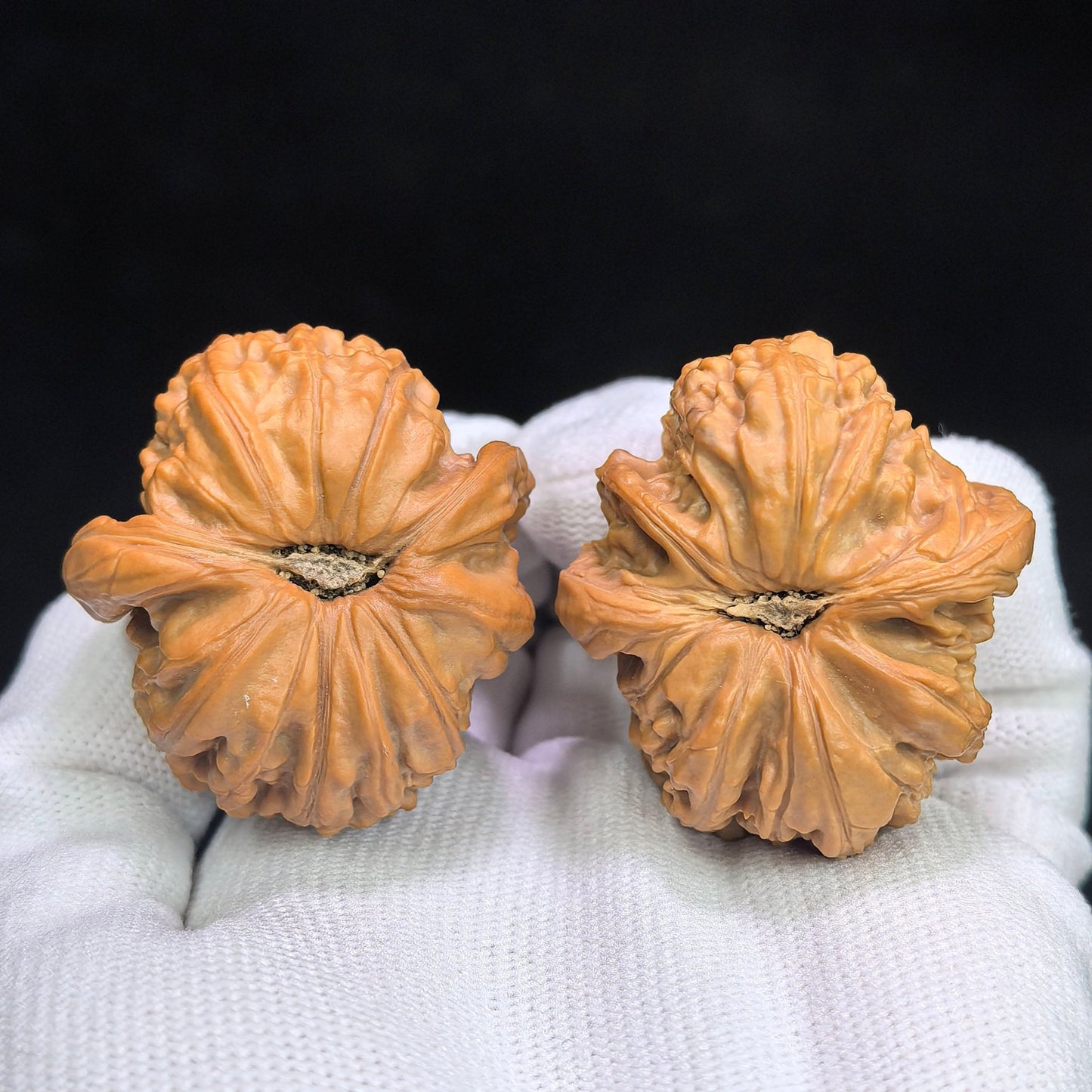 "Shunfenger White Lionhead" Baishizi Shunfenger BSJSFE-1301E Wenwan Walnuts Collector Pair | 38.0mm x 41.0mm | Stock ID: BSJSFE-1301E - ThePatinaProject