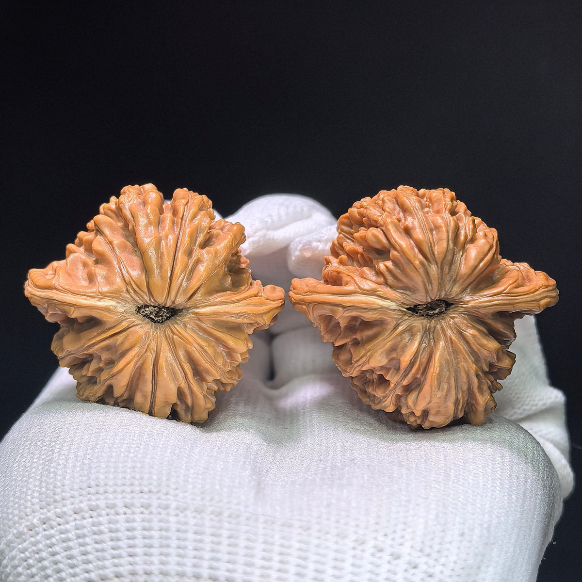 "Sizhelou Lion Head / Si Zhe Lou" Heirloom Collection Wenwan Walnuts Pair | 40.0mm x 38.0mm | SZL-1407 - ThePatinaProject