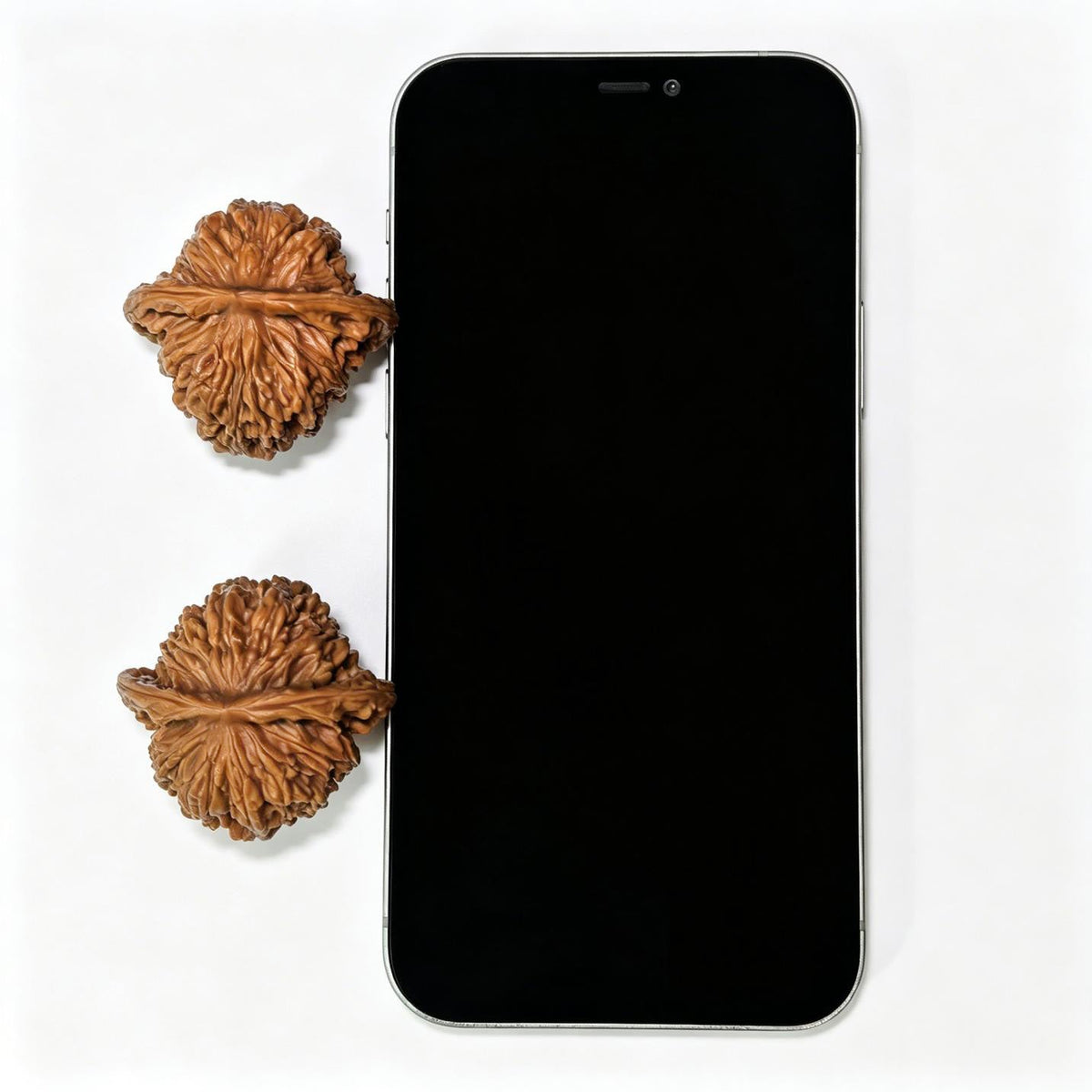 "Sizhelou Lion Head / Si Zhe Lou" Heirloom Collection Wenwan Walnuts Pair | 40.0mm x 38.0mm | SZL-1407 - ThePatinaProject