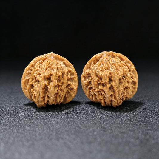 Sizuo Lou “Four Towers” Wenwan Walnut Pair | Broad Rounded Classic Form | 42.0mm × 39.0mm | SZL-1603 - ThePatinaProject