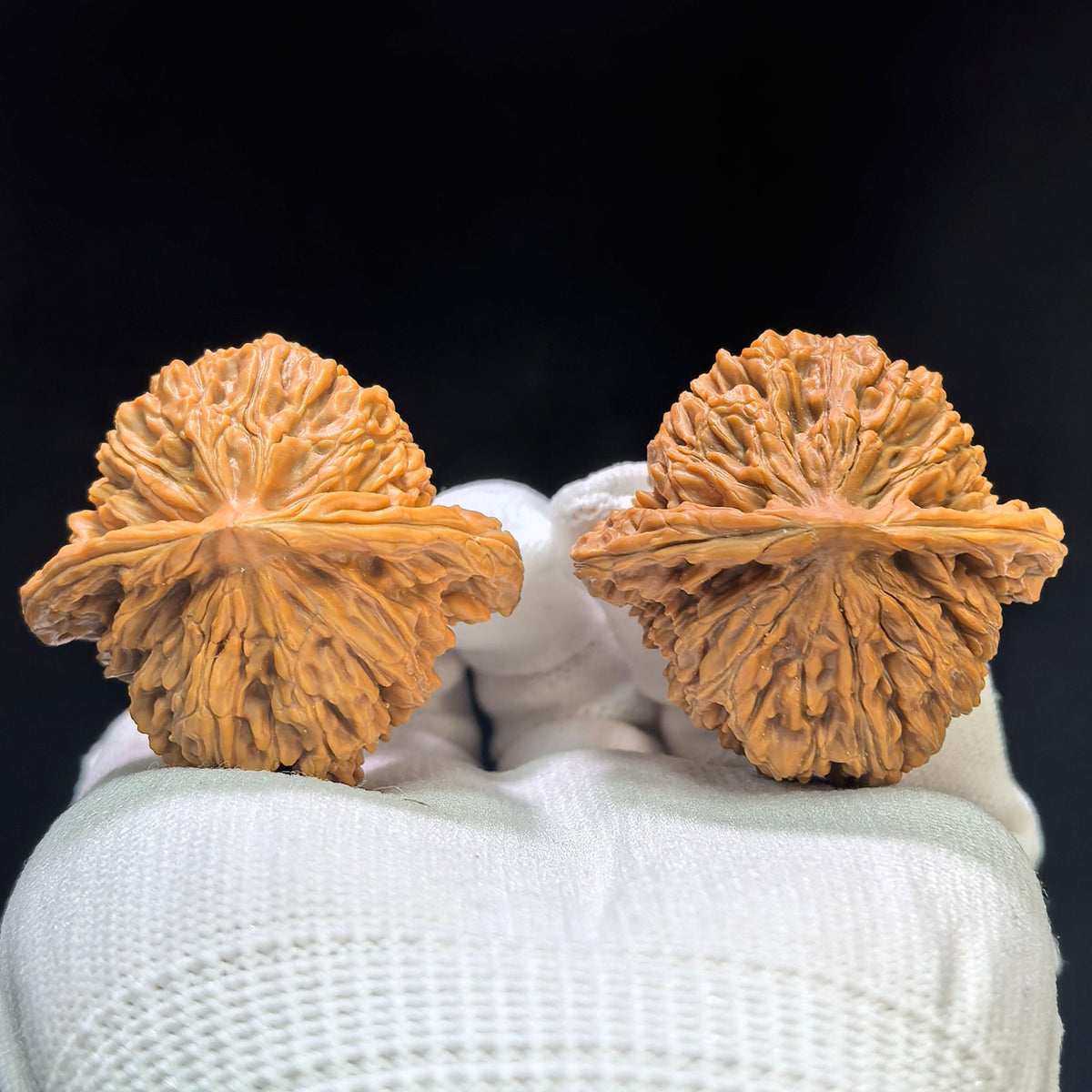 Sizuo Lou “Four Towers” Wenwan Walnut Pair | Broad Rounded Classic Form | 42.0mm × 39.0mm | SZL-1603 - ThePatinaProject