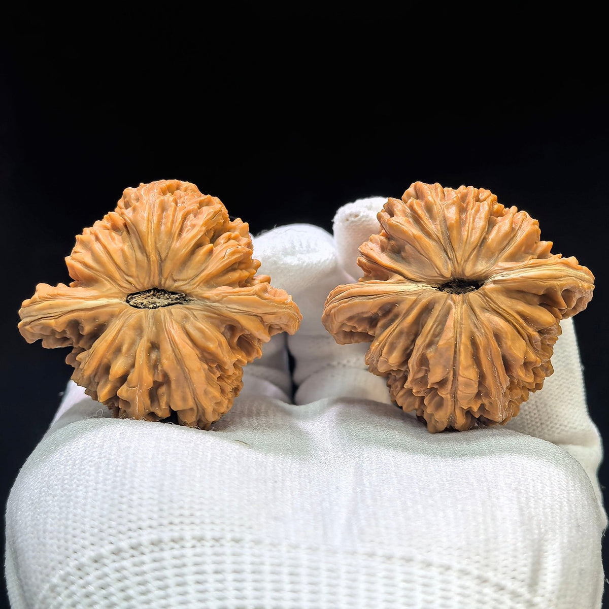 Sizuo Lou “Four Towers” Wenwan Walnut Pair | Broad Rounded Classic Form | 42.0mm × 39.0mm | SZL-1603 - ThePatinaProject