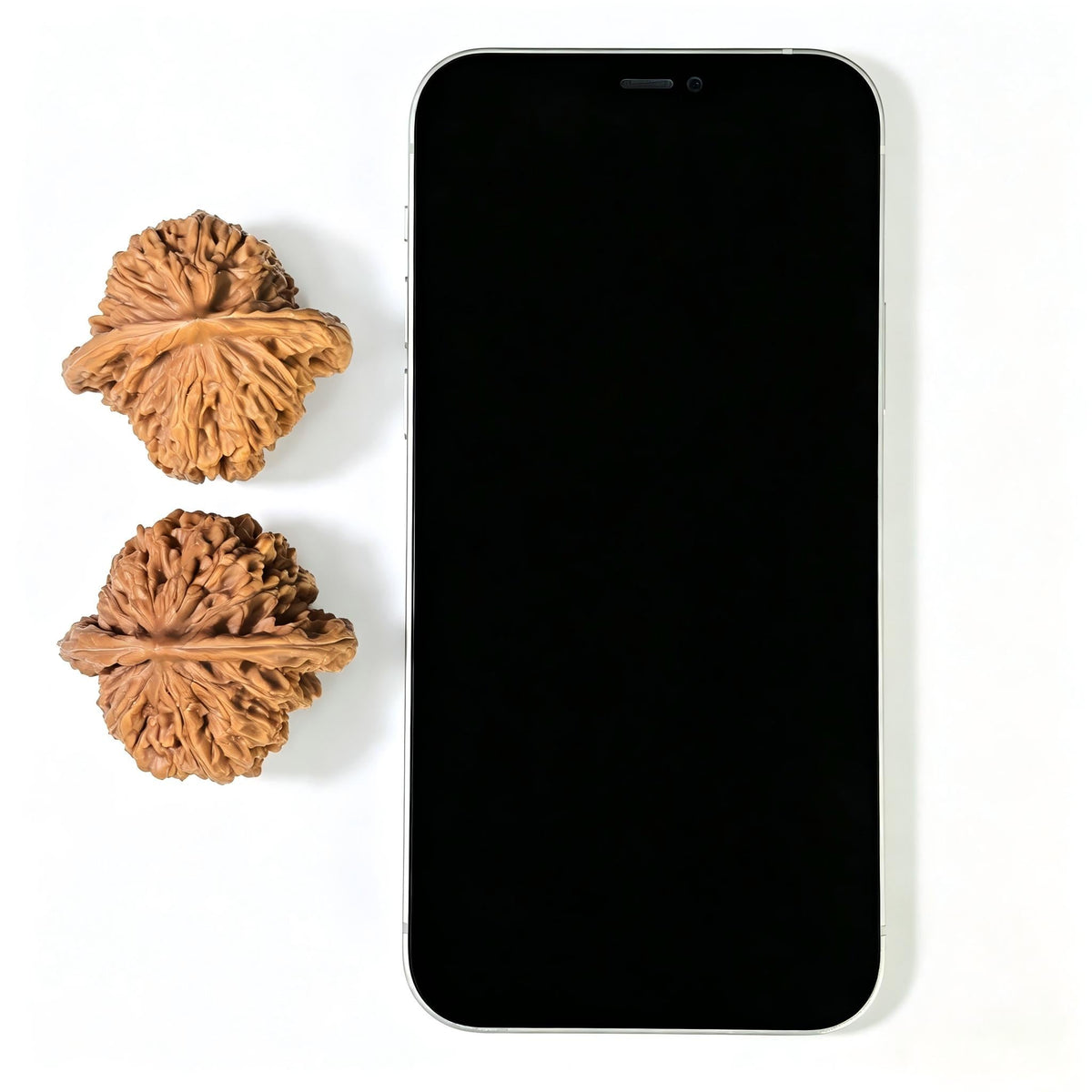 Sizuo Lou “Four Towers” Wenwan Walnut Pair | Broad Rounded Classic Form | 42.0mm × 39.0mm | SZL-1603 - ThePatinaProject