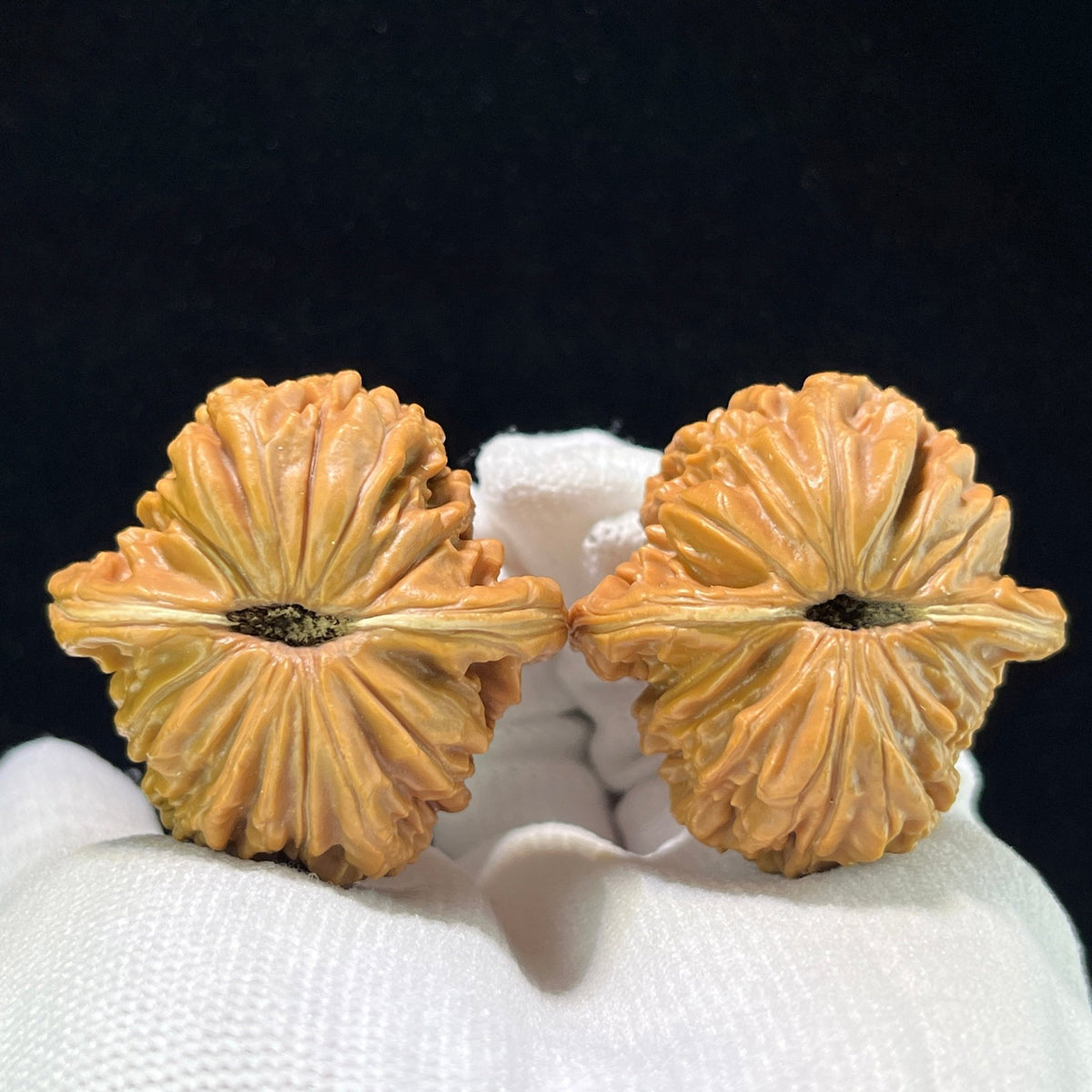 Sizuolou Lion Head (Si Zuo Lou) Scholar Walnuts Pair | 39.0mm x 39.0mm | Stock ID: SZL-1001 - ThePatinaProject