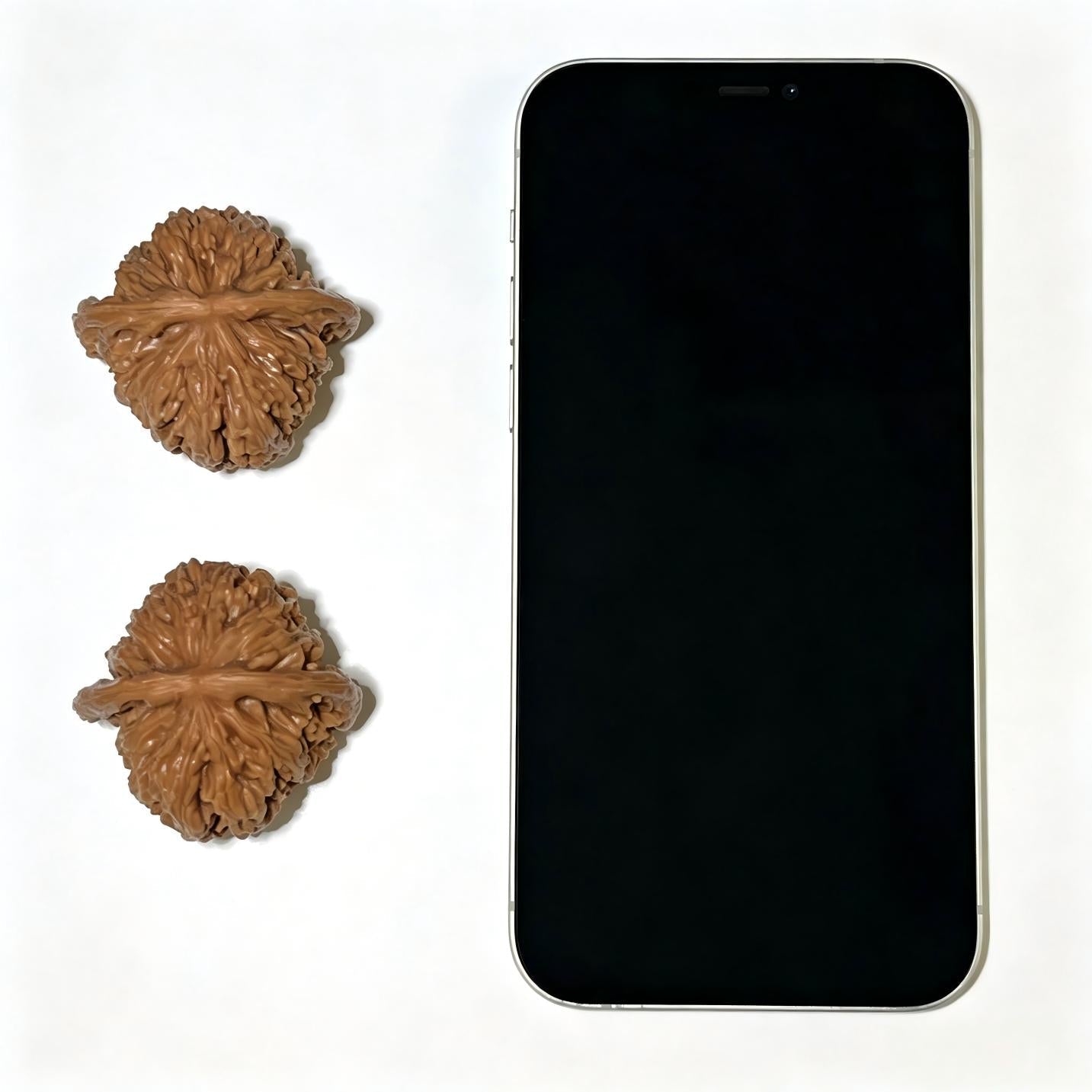 Sizuolou Lion Head (Si Zuo Lou) Scholar Walnuts Pair | 43.0mm x 40.0mm | Stock ID: SZL-1110 - ThePatinaProject