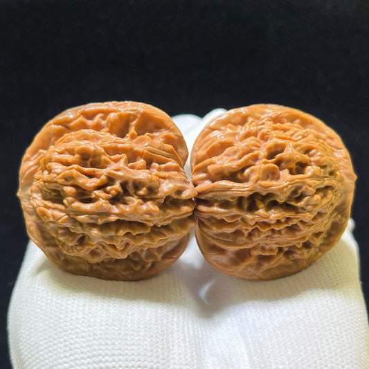 Sizuolou Scholar Walnuts Pair | 40.0mm x 38.0mm | Classic Deep-Belly Format | Stock ID: SZL-1104 - ThePatinaProject