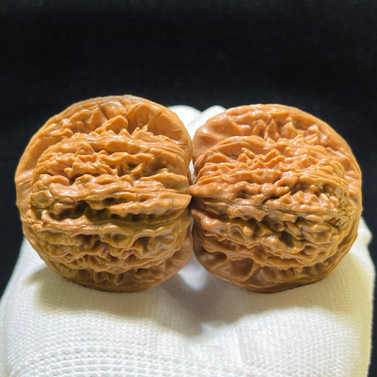 Sizuolou Scholar Walnuts Pair | 41.0mm x 37.0mm | Deep-Belly Format | Stock ID: SZL-1103 - ThePatinaProject