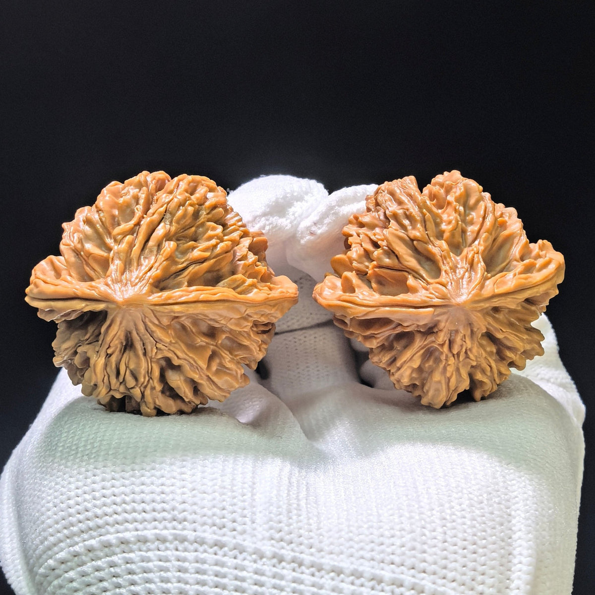 "Sky-Piercing Eight-Rib" Tongtian Ba TTB-1102 Low-Profile Wenwan Walnuts Pair | 35.0mm x 34.0mm | TTB-1102 - ThePatinaProject