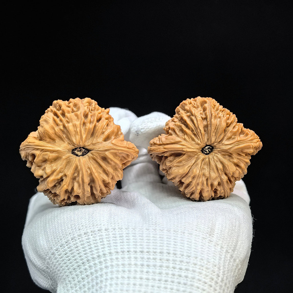 "Spherical Nanjiang Stone" Qiuxing Nanjiangshi Classic Low-Profile Wenwan Walnuts Pair | 44.0mm x 41.0mm | NJS-1503C - ThePatinaProject