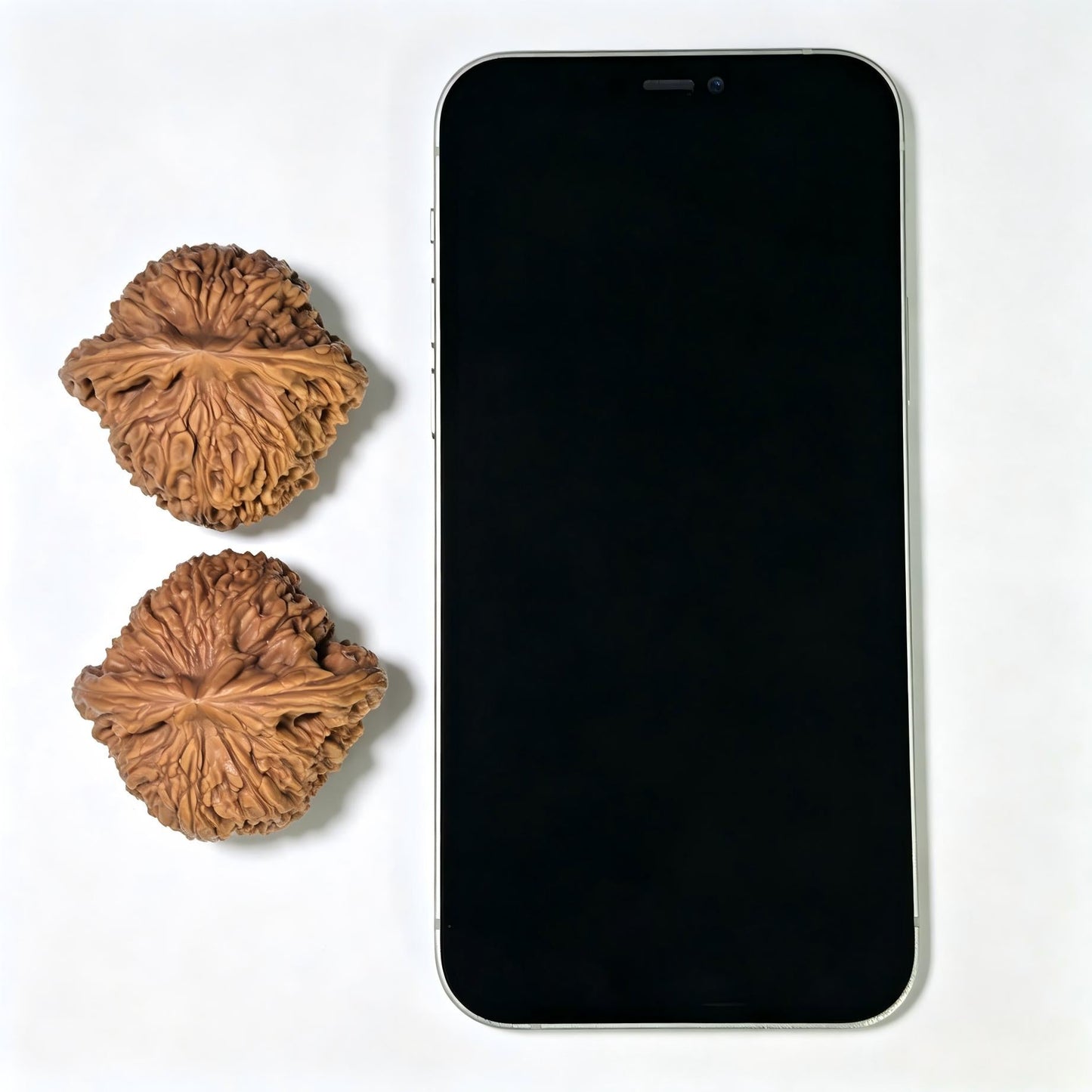 "Spherical Nanjiang Stone" Qiuxing Nanjiangshi Classic Low-Profile Wenwan Walnuts Pair | 44.0mm x 41.0mm | NJS-1503C - ThePatinaProject