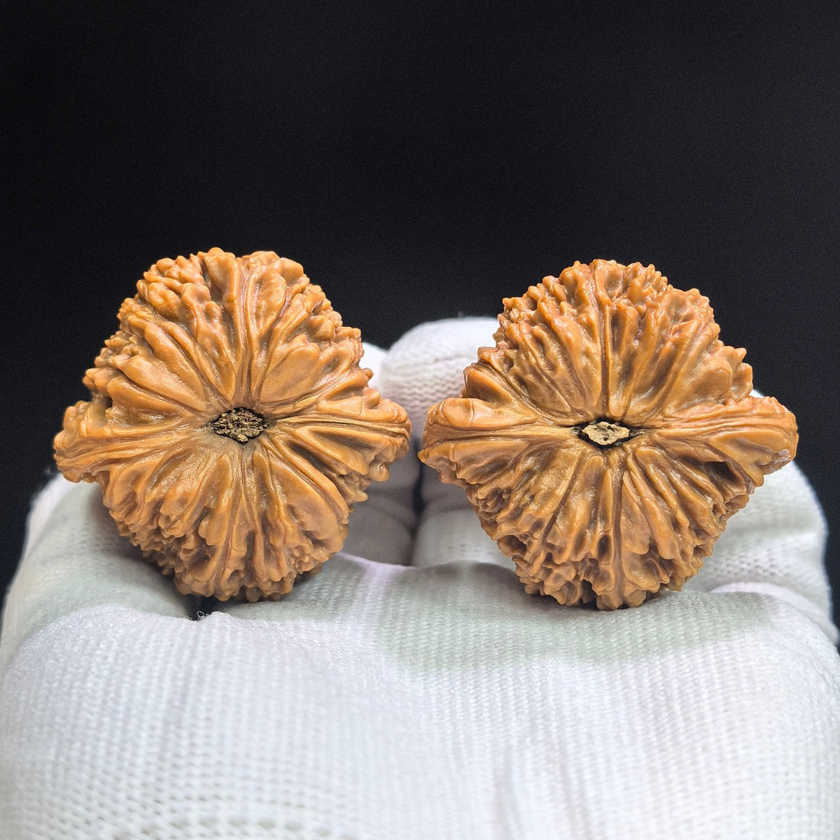Spherical Nanjiang Stone Wenwan Walnut Pair | 41.0mm × 40.0mm | QXNJS-17G7 - ThePatinaProject