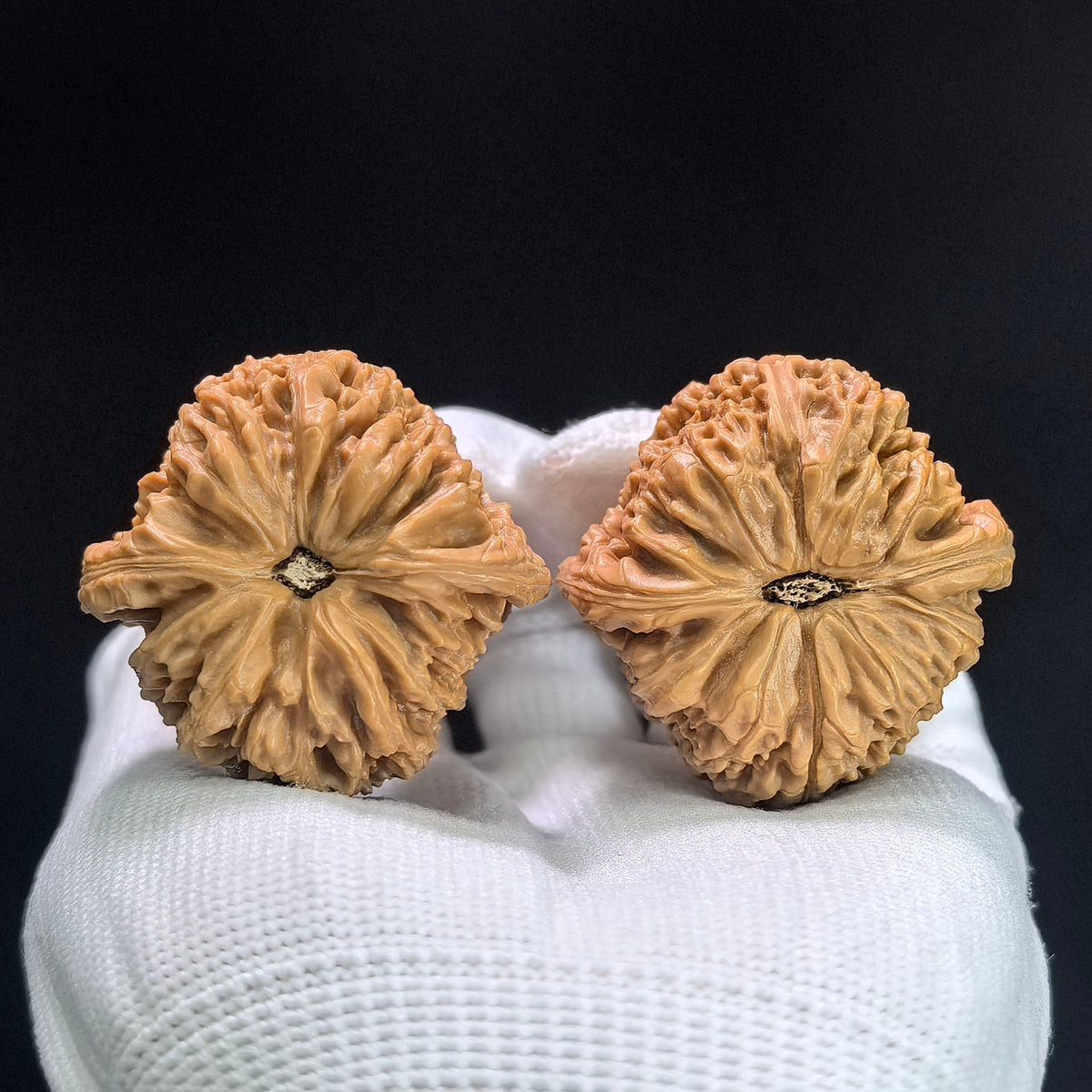 “Spherical Nanjiang Stone” Wenwan Walnut Pair | Round-Bodied Deep-Textured Form | 41.0mm × 41.0mm | NJS-1404 - ThePatinaProject