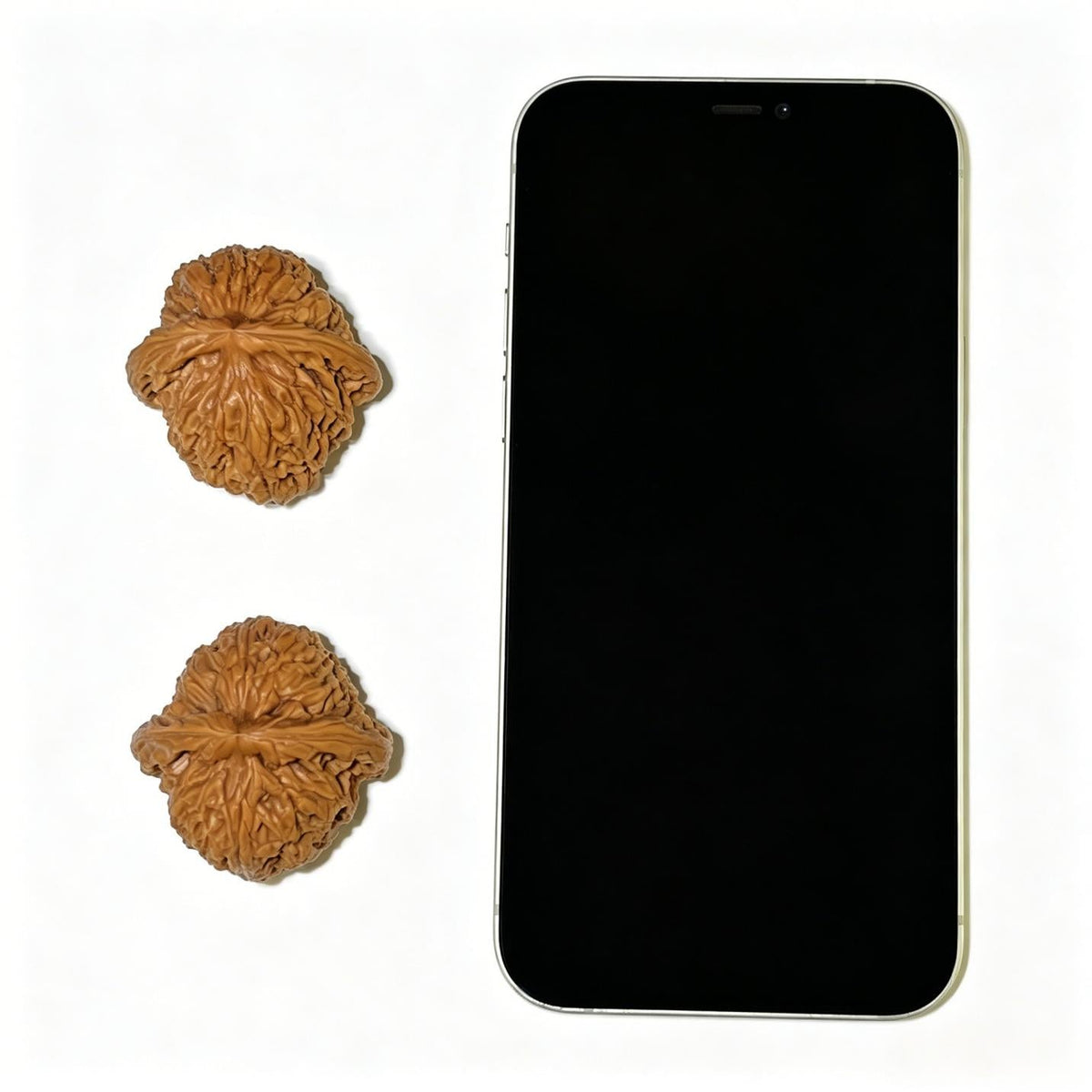Spherical Nanjiang Stone Wenwan Walnut Pair – Round Deep-Textured Form | 39.0mm × 39.0mm | NJS-1127 - ThePatinaProject