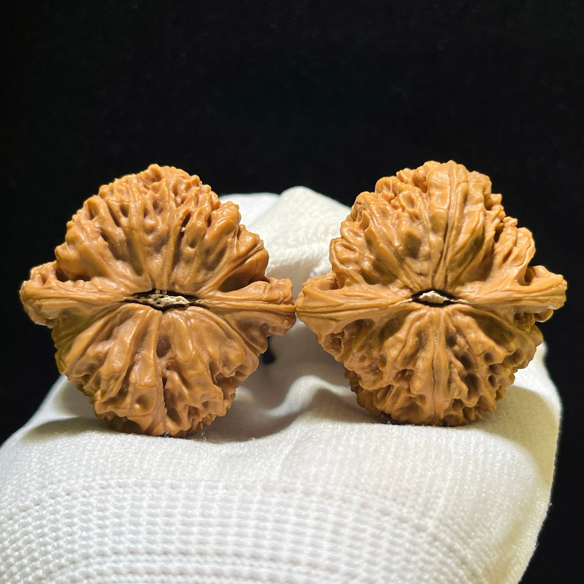 Spherical Nanjiang Stone Wenwan Walnut Pair – Round Deep-Textured Form | 39.0mm × 39.0mm | NJS-1127 - ThePatinaProject