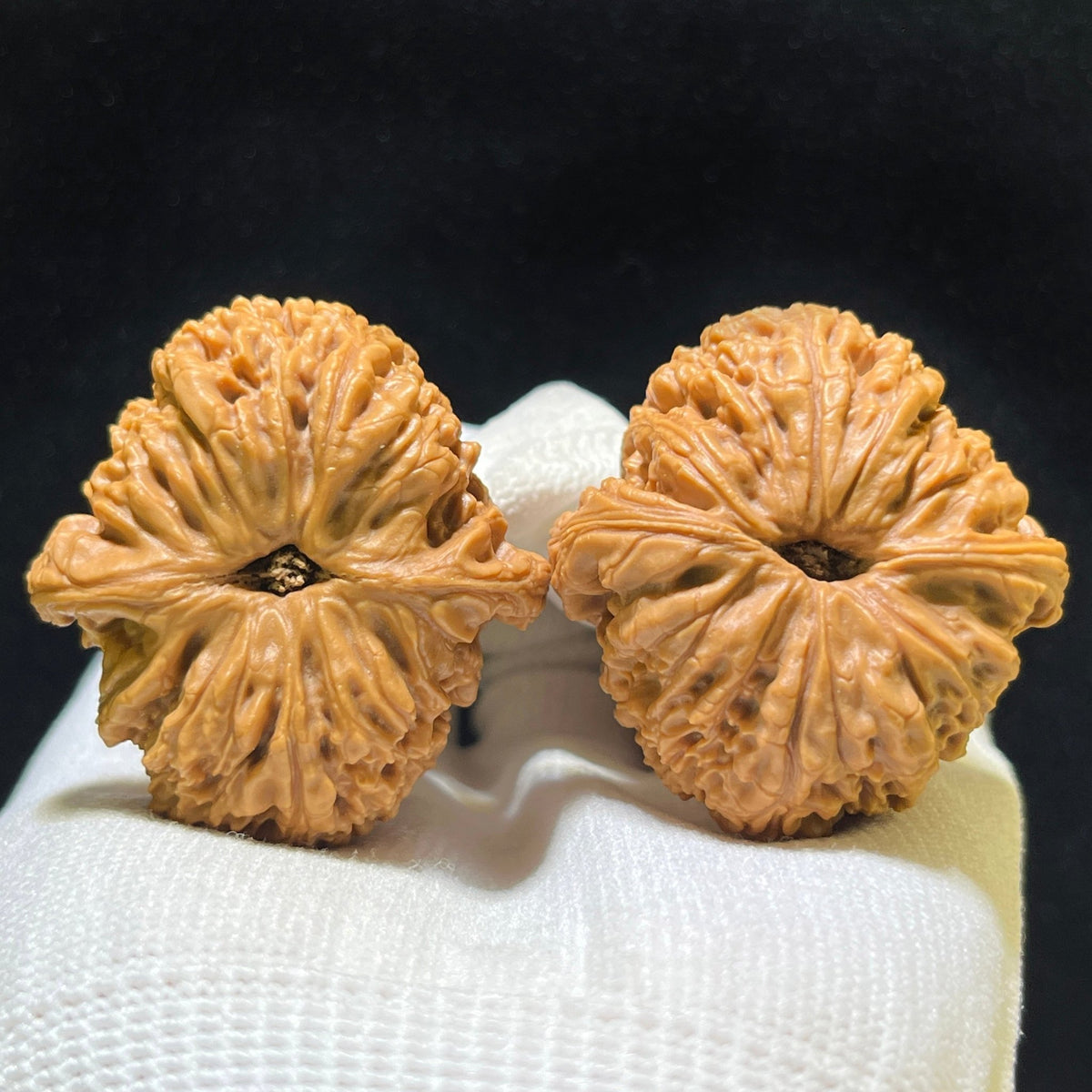 "Spherical Nanjiangshi Lionhead" Qiuxing Nanjiangshi NJS-1124 Low-Profile Wenwan Walnuts Pair | 40.0mm x 42.0mm | NJS-1124 - ThePatinaProject