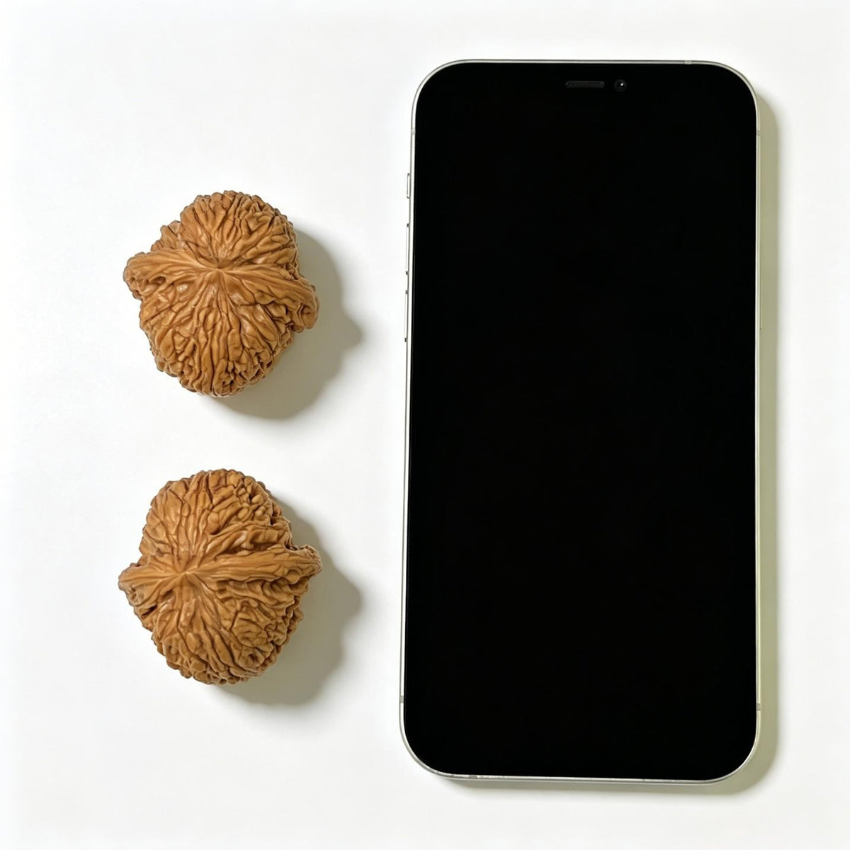 "Spherical Nanjiangshi Lionhead" Qiuxing Nanjiangshi NJS-1124 Low-Profile Wenwan Walnuts Pair | 40.0mm x 42.0mm | NJS-1124 - ThePatinaProject