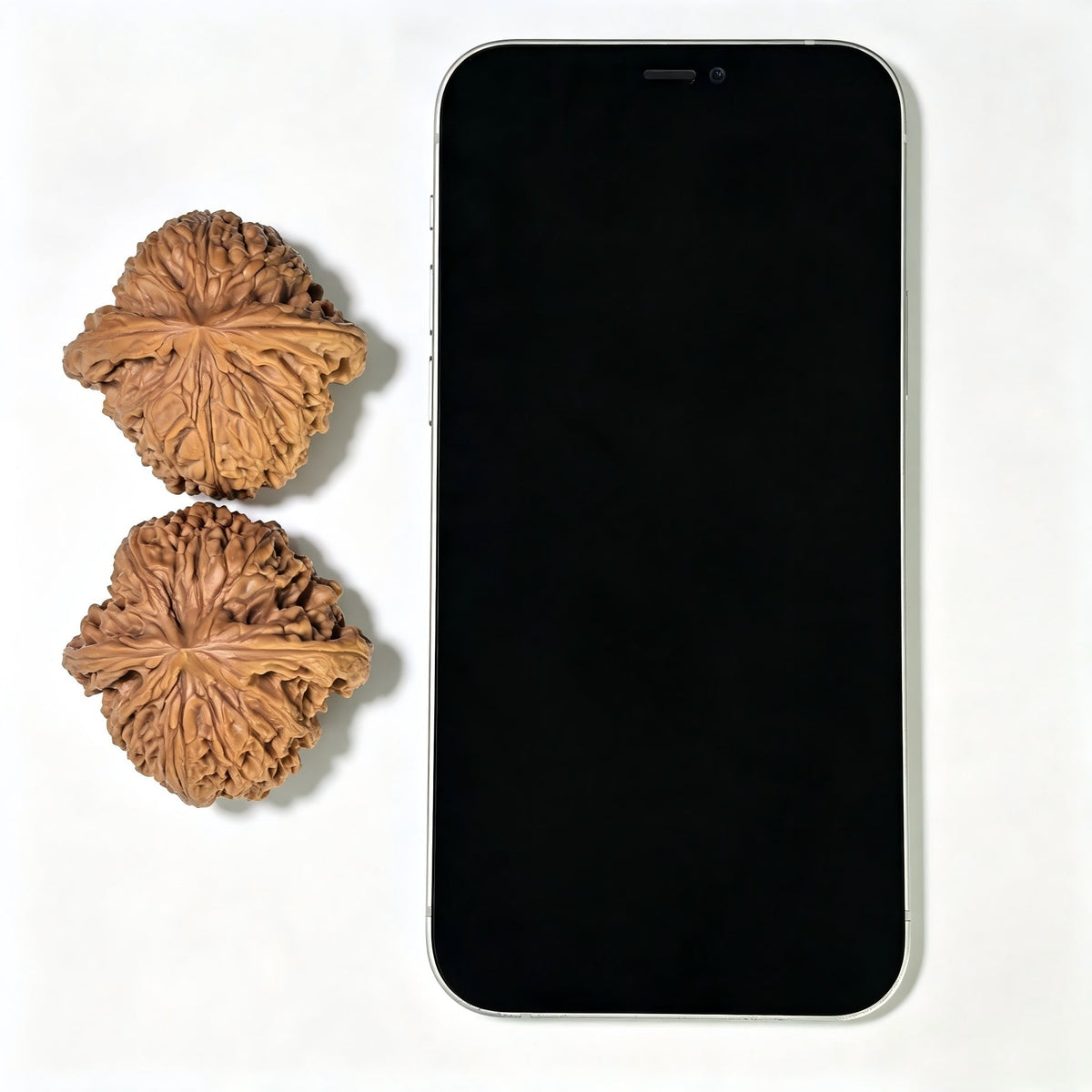 "Spherical Nanjiangshi Lionhead" Qiuxing Nanjiangshi NJS-1501C Low-Profile Wenwan Walnuts Pair | 44.0mm x 44.0mm | NJS-1501C - ThePatinaProject