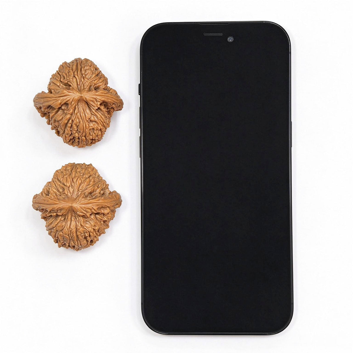 "Spherical Nanjiangshi / Round Nanjiangshi" Heirloom Collection Wenwan Walnuts Pair | 41.0mm x 41.0mm | NJS-1502C - ThePatinaProject