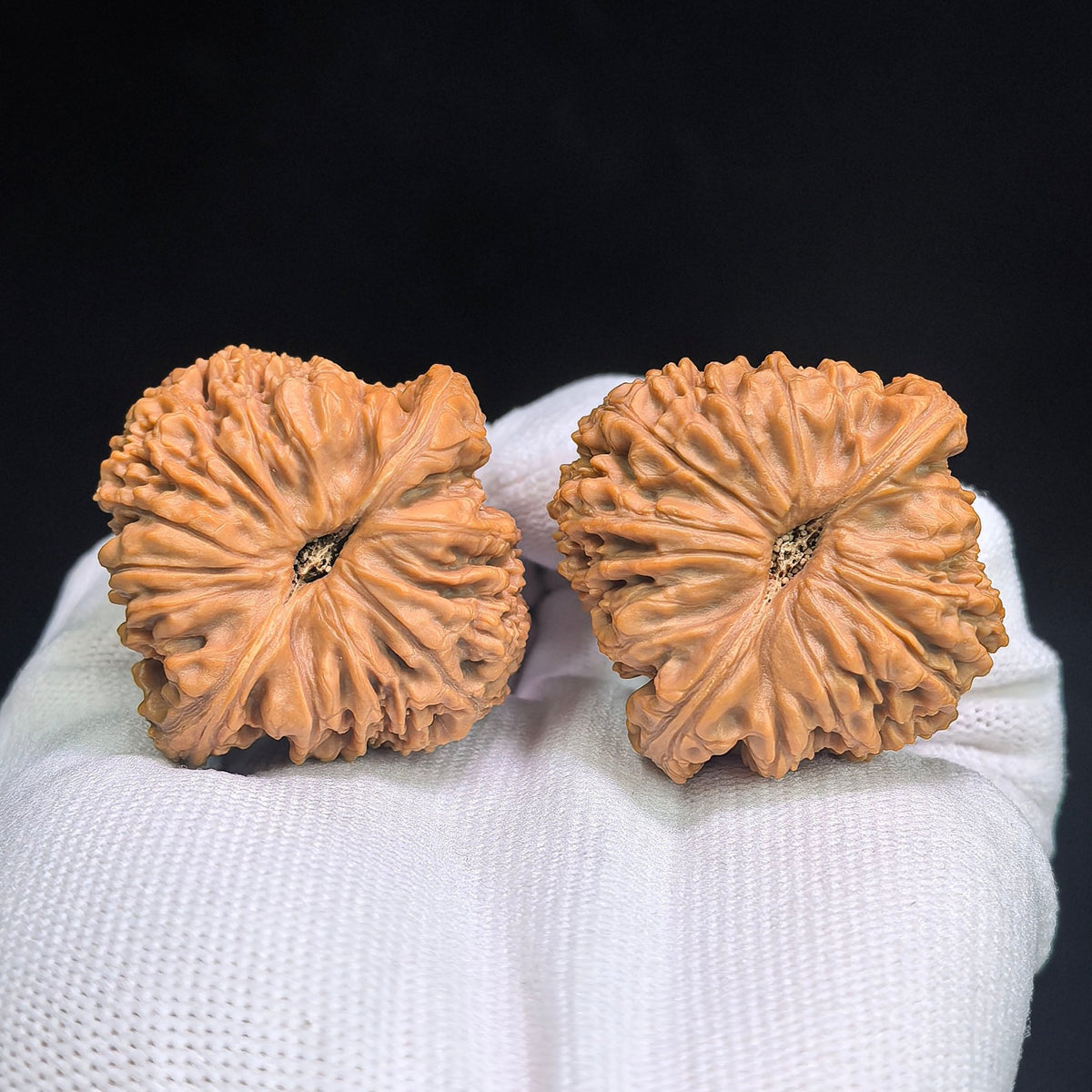 "Spherical Nanjiangshi / Round Nanjiangshi" Heirloom Collection Wenwan Walnuts Pair | 41.0mm x 41.0mm | NJS-1502C - ThePatinaProject